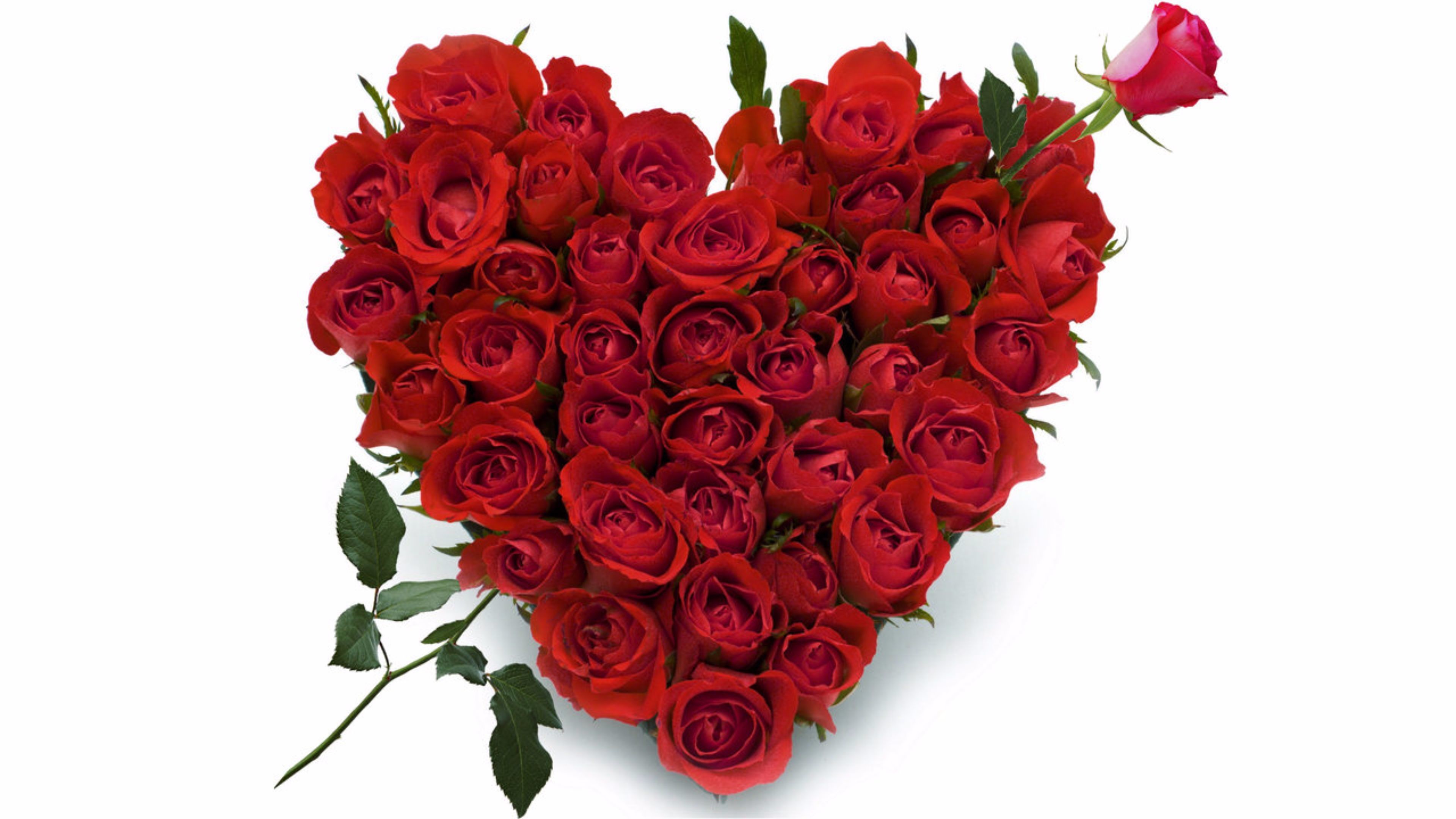 Rose Heart Valentines Wallpapers - Wallpaper Cave
