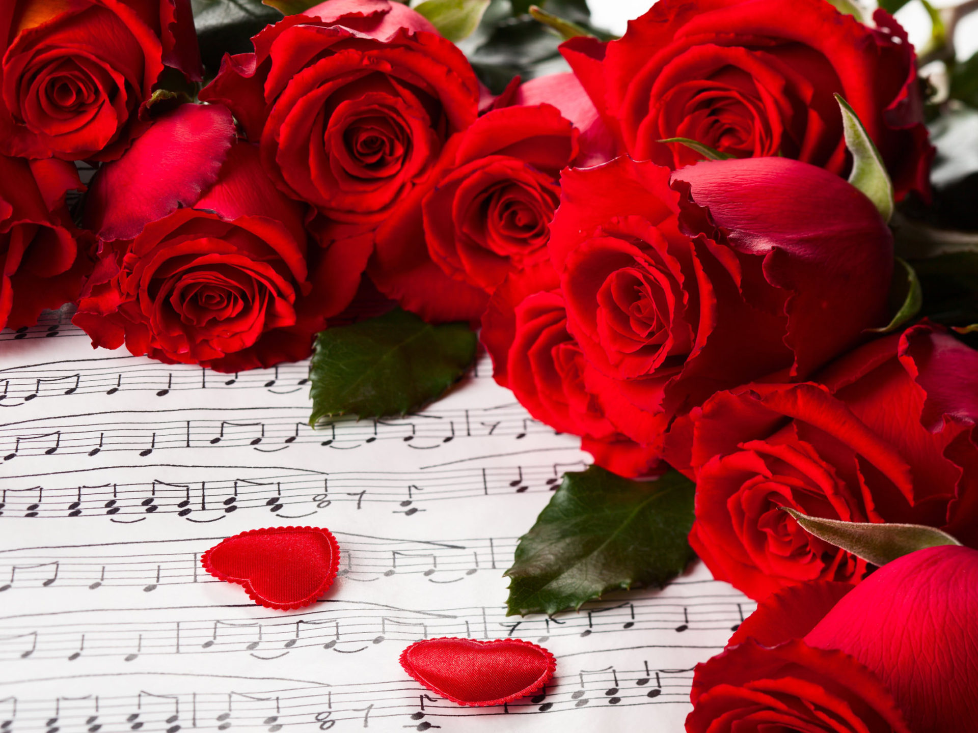 Hearts Valentines Day Red Roses Nature For You Roses Music Rose With Love Flowers 5616x3744, Wallpaper13.com