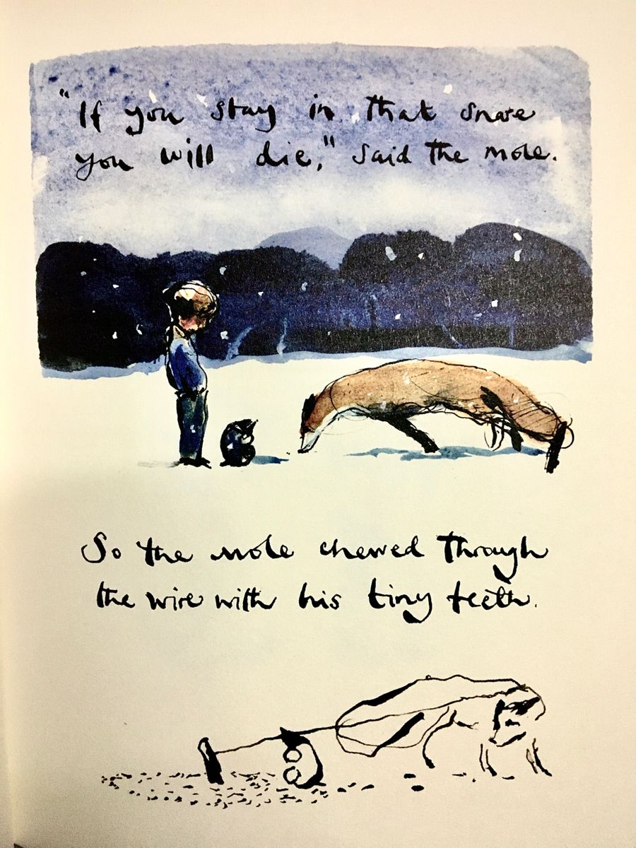 Quote from the boy, the fox, the mole and the horse. Charlie mackesy, Little boy quotes, Horse quotes