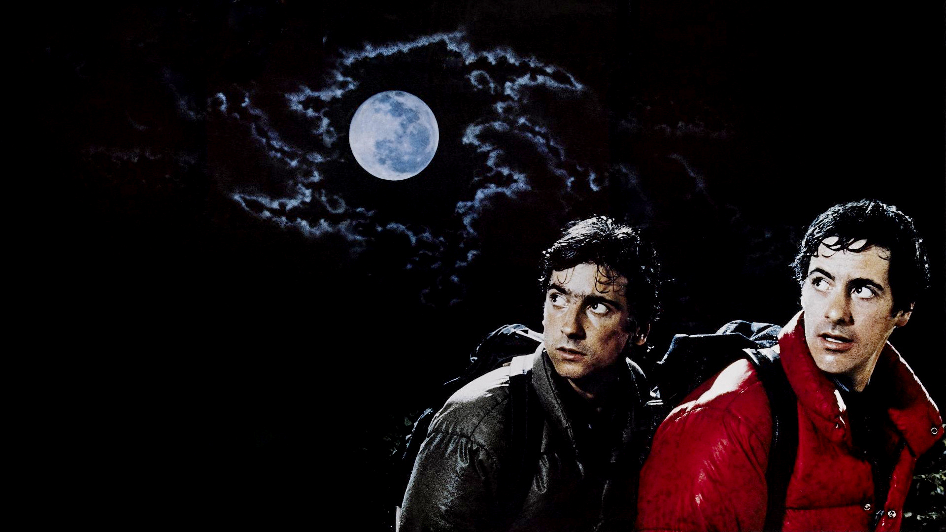 An American Werewolf In London HD Wallpaper