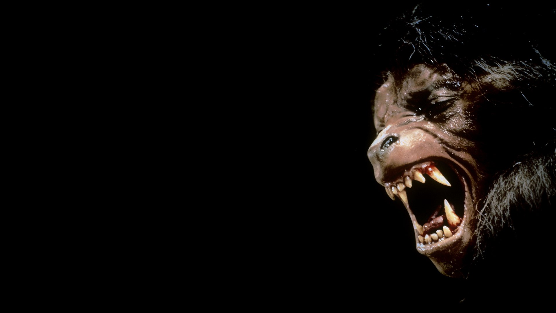 An American Werewolf In London HD Wallpaper
