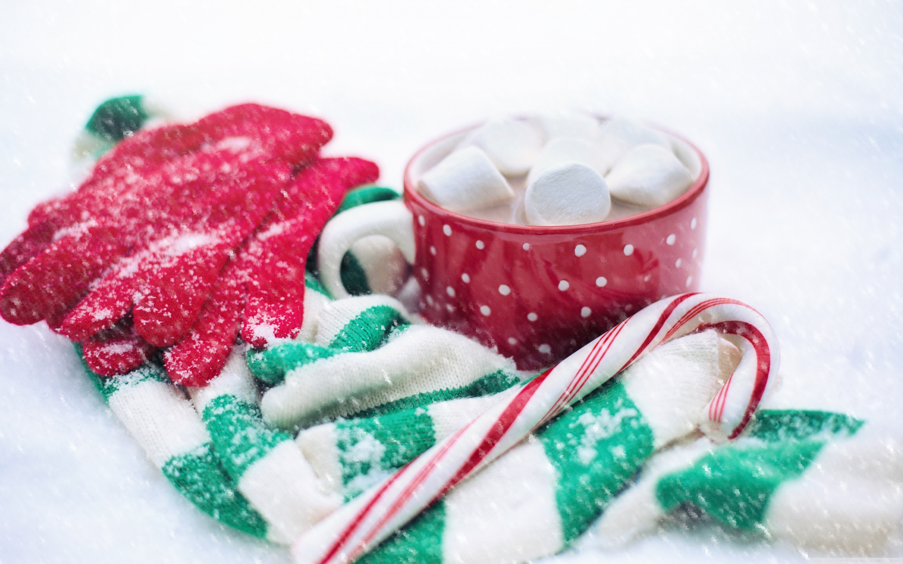 Hot Chocolate, Candy Cane, Snow, Winter Ultra HD Desktop Background Wallpaper for 4K UHD TV, Widescreen & UltraWide Desktop & Laptop, Tablet