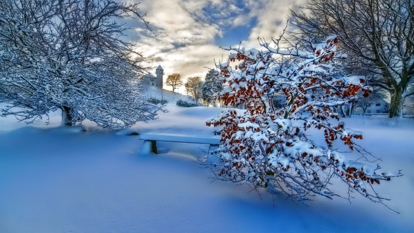 Japan Winter Nature Wallpaper