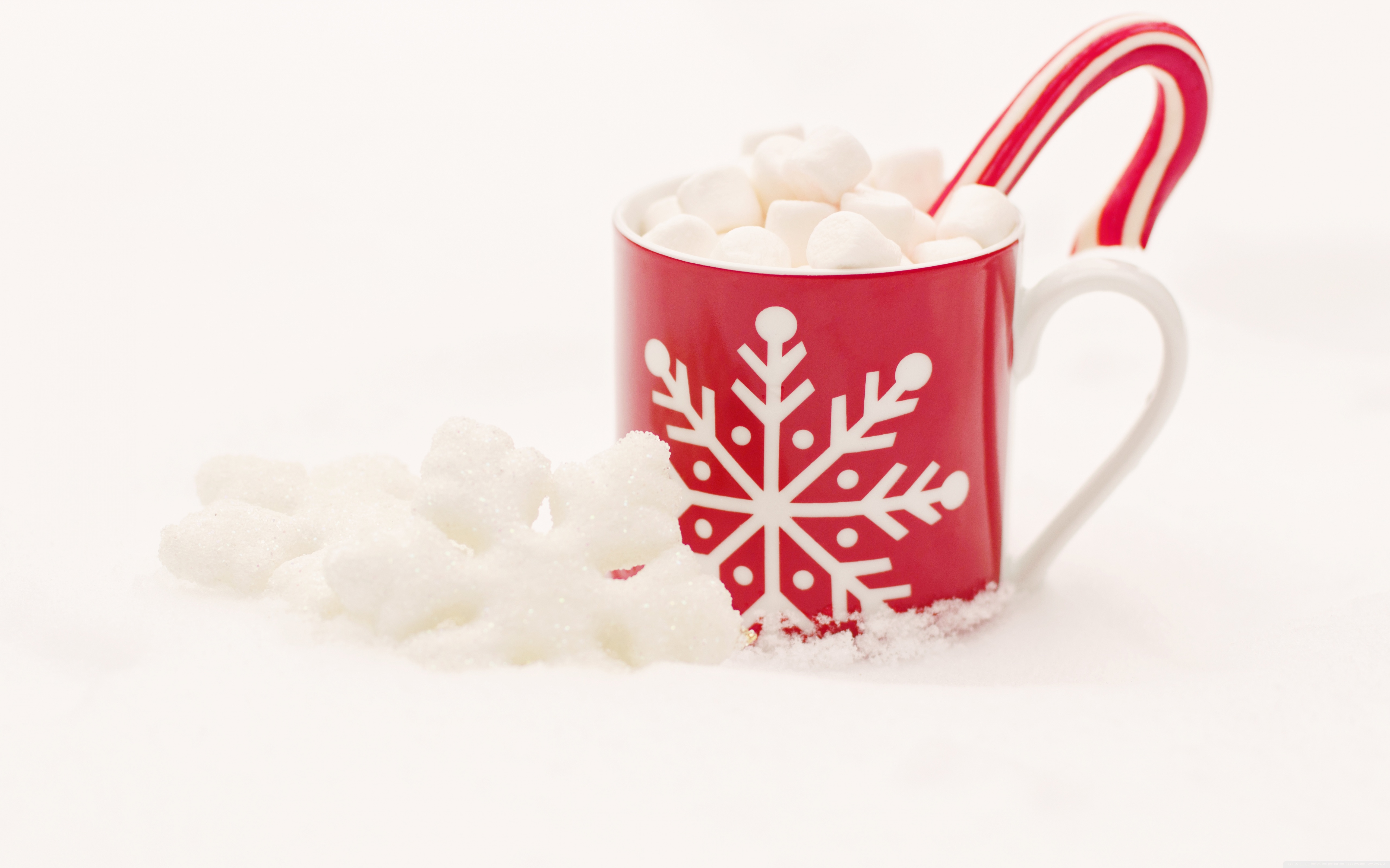 Hot Chocolate, Snow Ultra HD Desktop Background Wallpaper for 4K UHD TV, Widescreen & UltraWide Desktop & Laptop, Tablet
