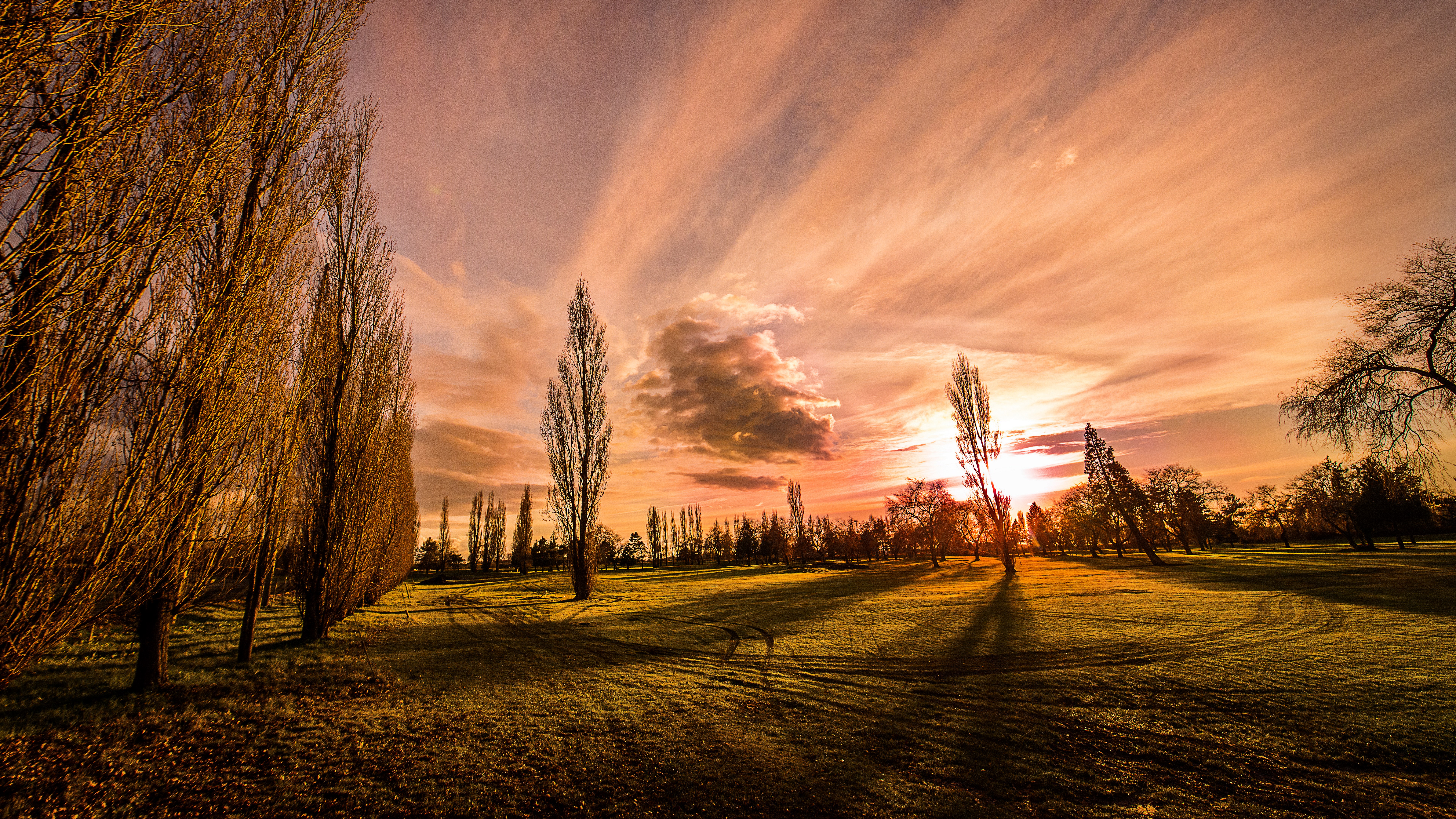 2460 8k wallpaper nature photo wide Gallery HD Wallpaper