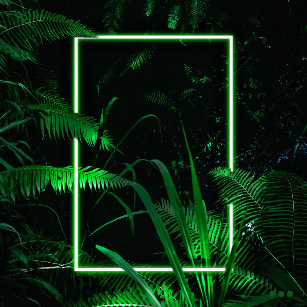 Jungle Neon. Neon wallpaper, Neon jungle, Jungle wallpaper