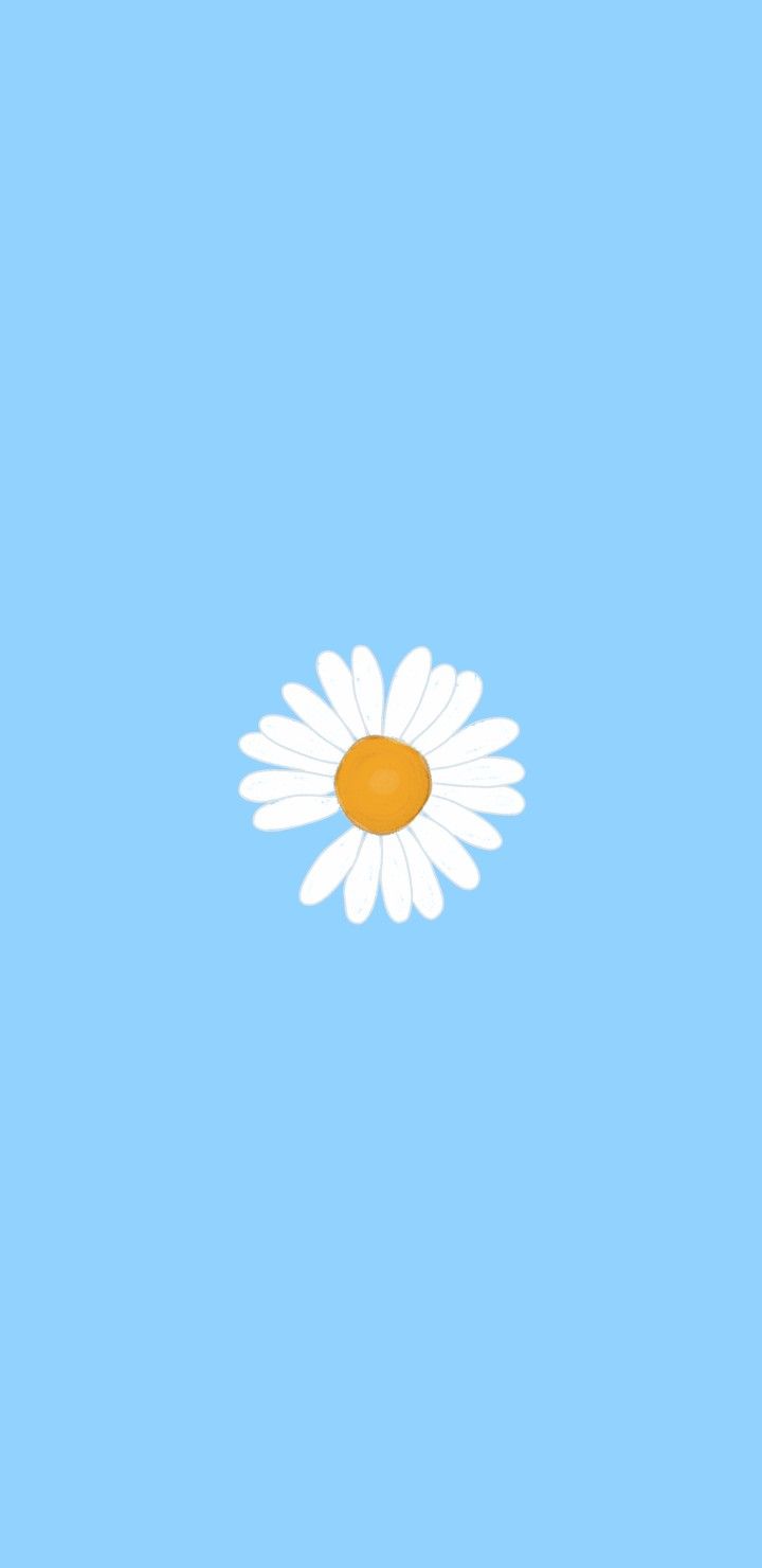 Blue Daisy Wallpapers - Wallpaper Cave