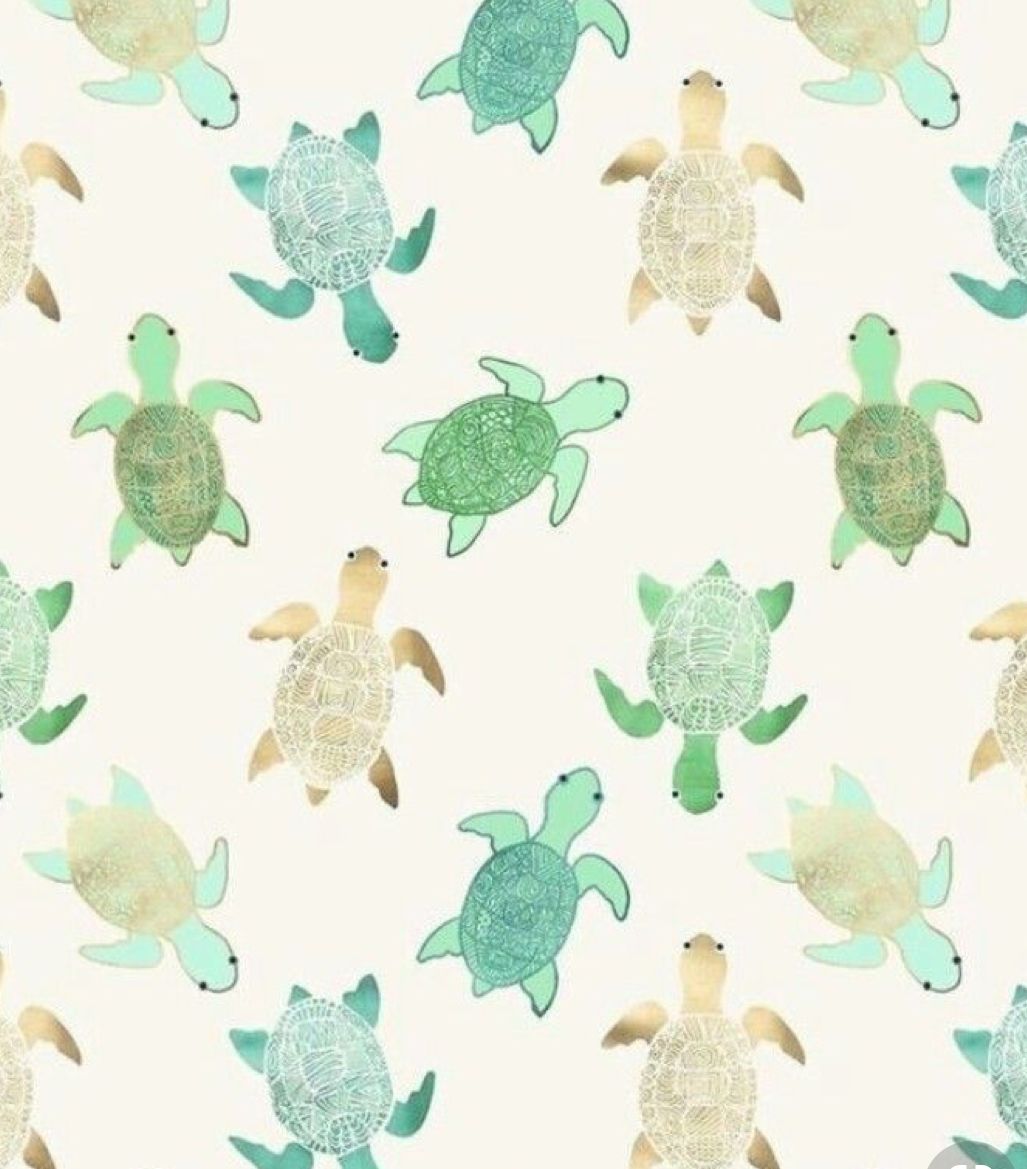 Save the turtles wallpaper