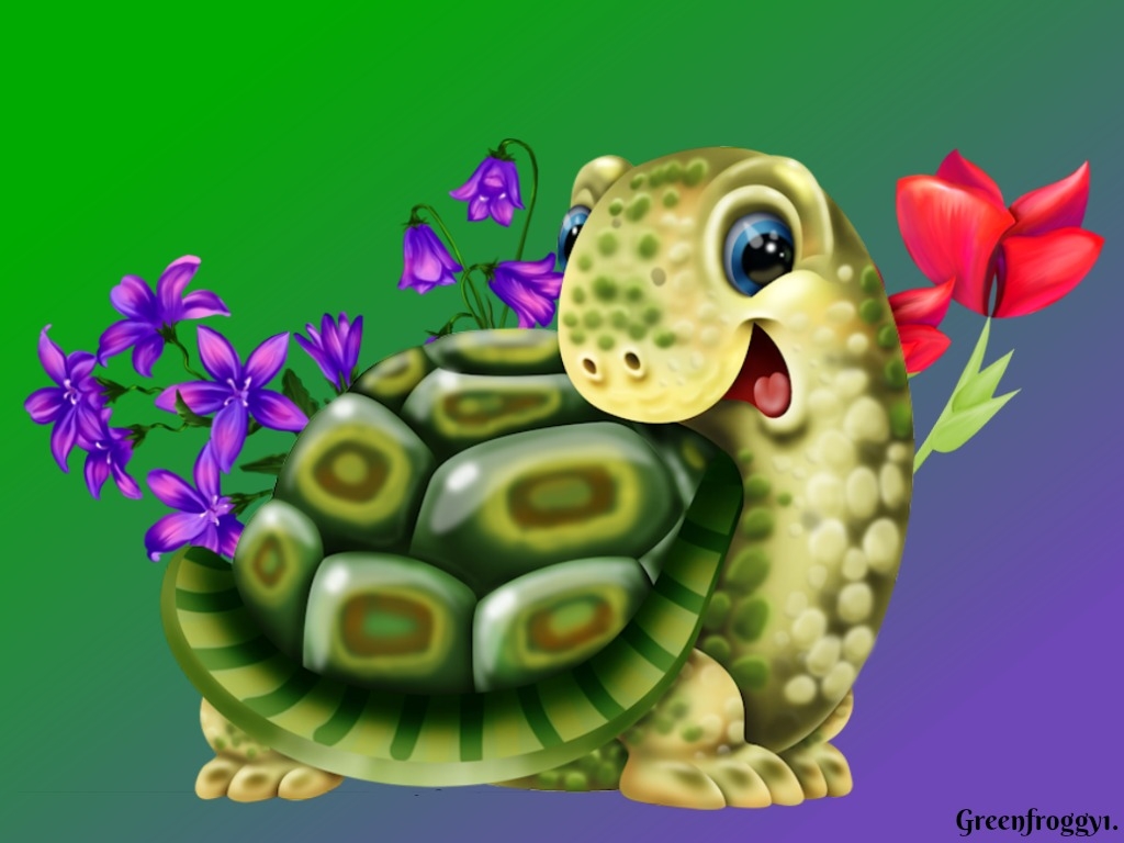 Cute Turtle