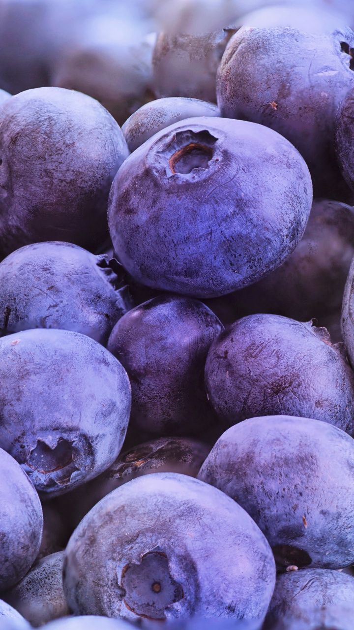Fresh, blueberries, fruits, close up, 720x1280 wallpaper. Purple wallpaper, Fruit wallpaper, Fruit photography