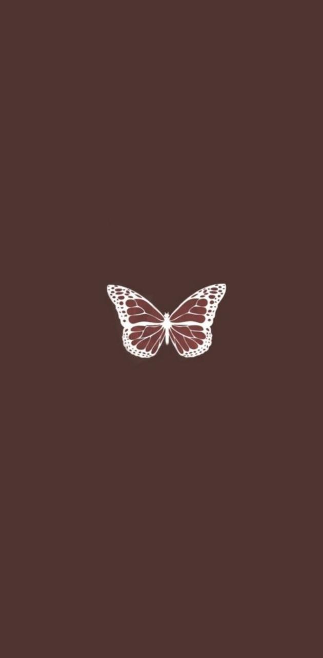 Brown butterfly wallpaper