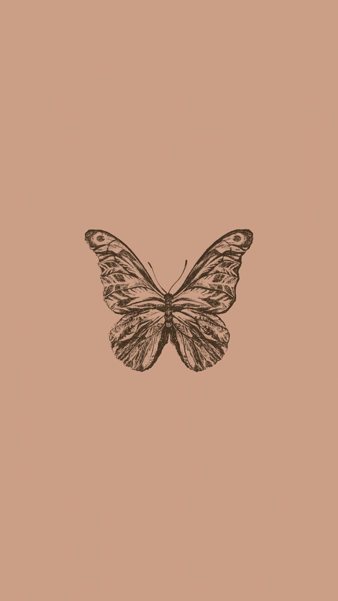 Aesthetic Brown Butterfly Wallpaper  Butterfly wallpaper iphone Butterfly  wallpaper Japanese wallpaper iphone