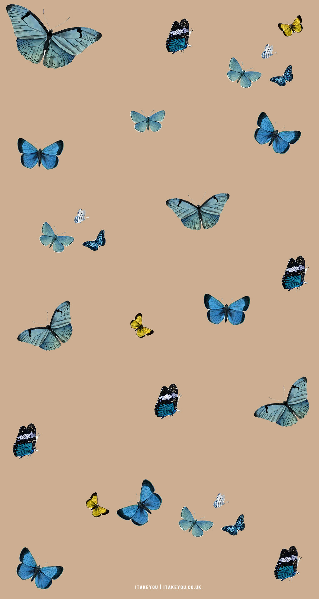 Cute Brown Aesthetic Wallpaper for Phone, Butterfly Assortment I Take You. Wedding Readings. Wedding Ideas