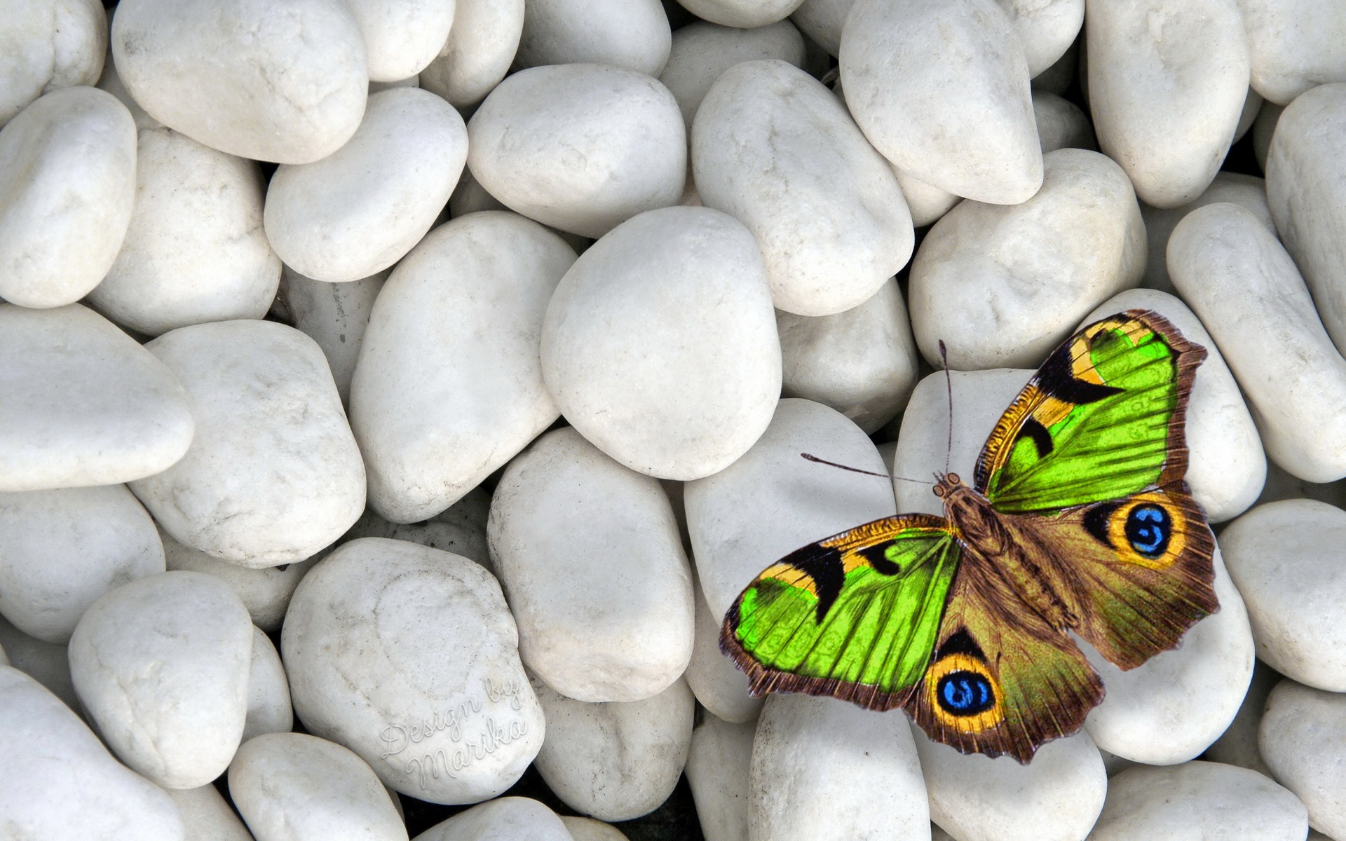 Green Brown Butterfly wallpaper. Green Brown Butterfly