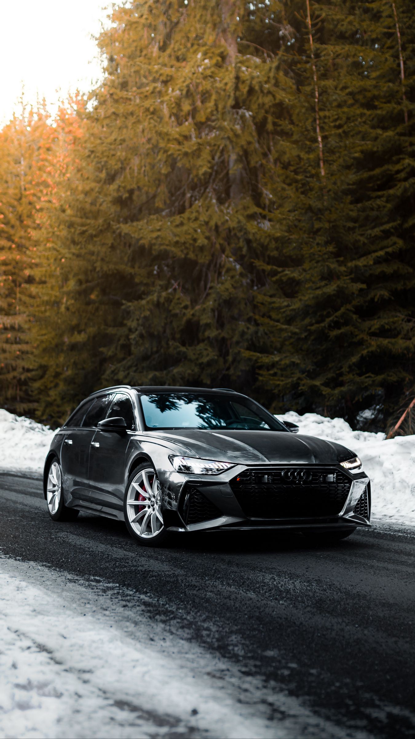 Download wallpaper 1350x2400 audi, car, gray, speed, road, snow, winter iphone 8+/7+/6s+/for parallax HD background