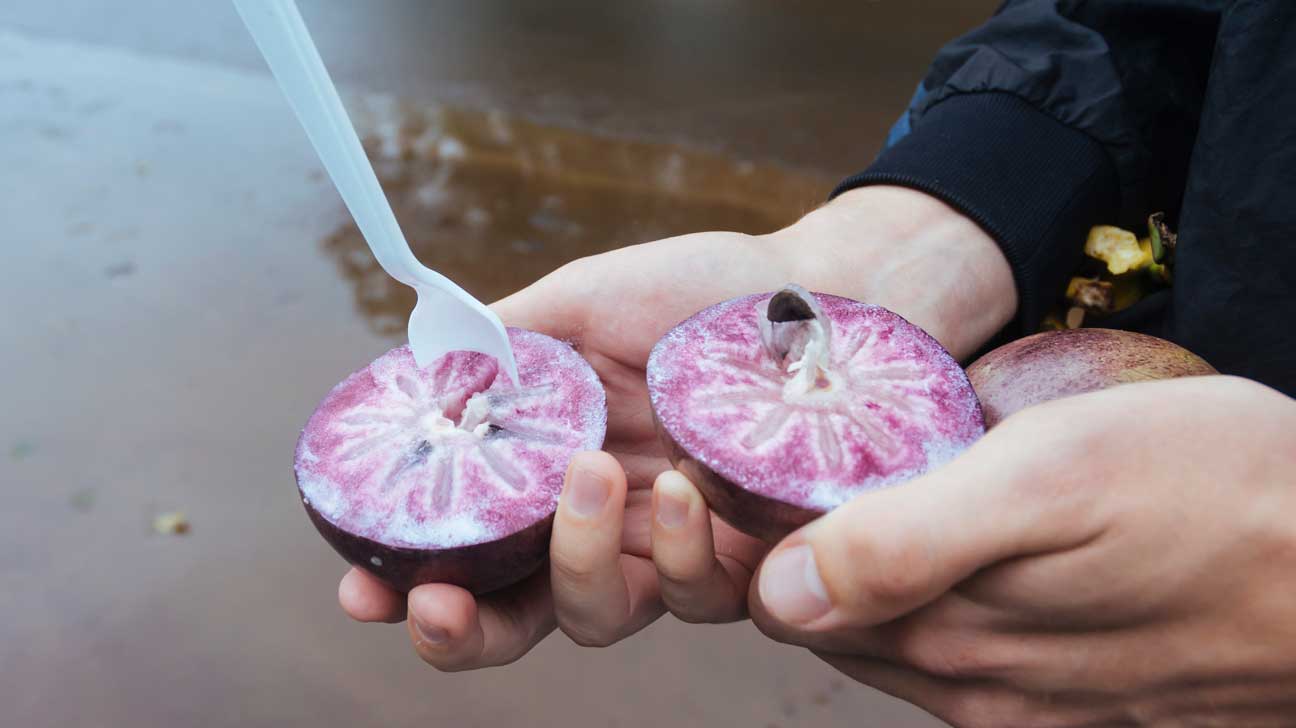 Delicious and Nutritious Purple Foods