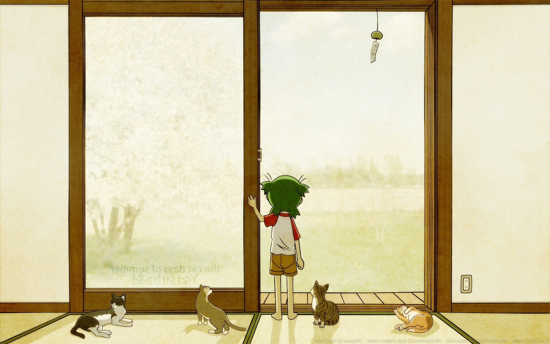 anime, Yotsubato, Cat Wallpaper HD / Desktop and Mobile Background