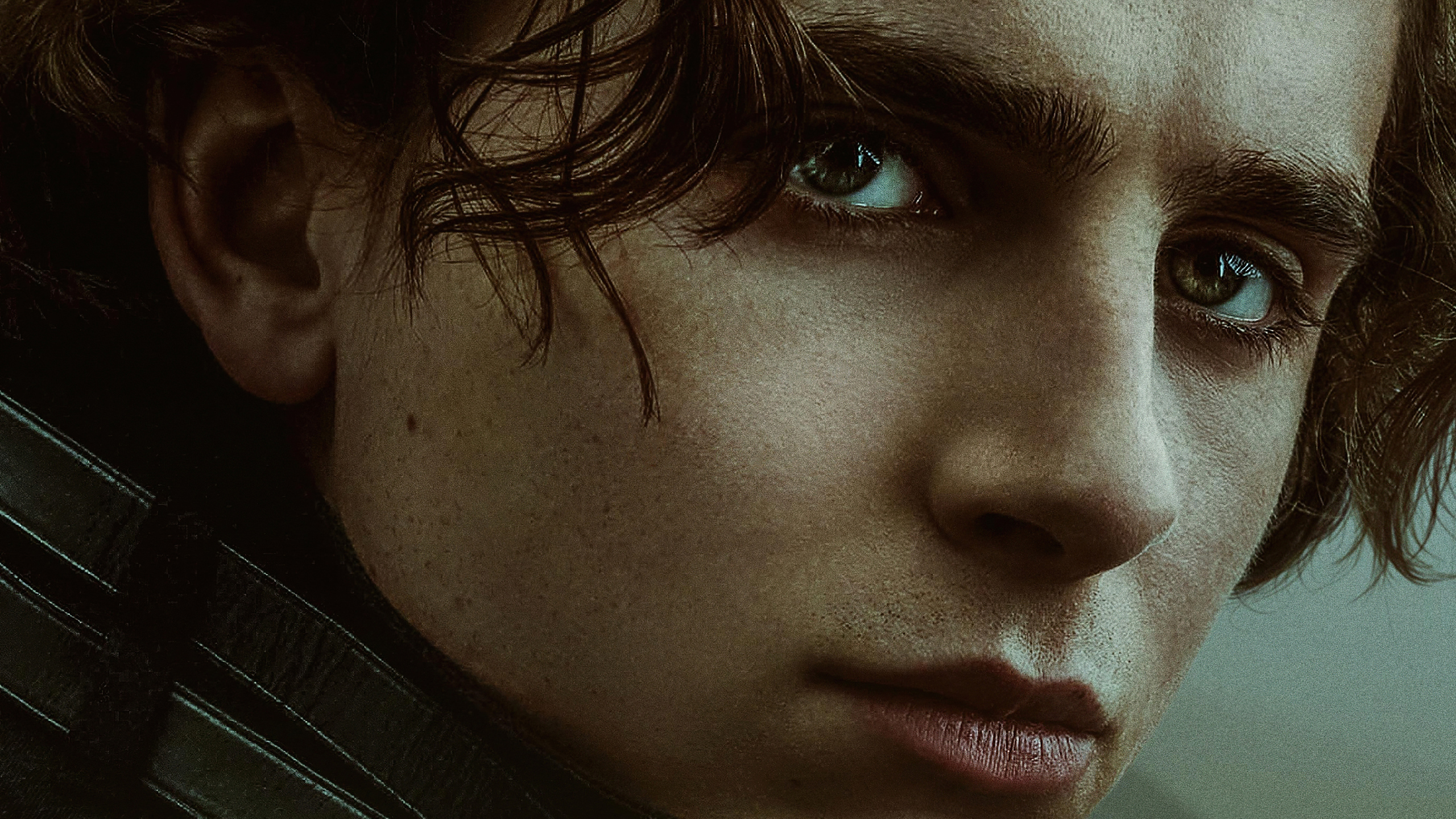 Timothee Chalamet As Paul Atreides