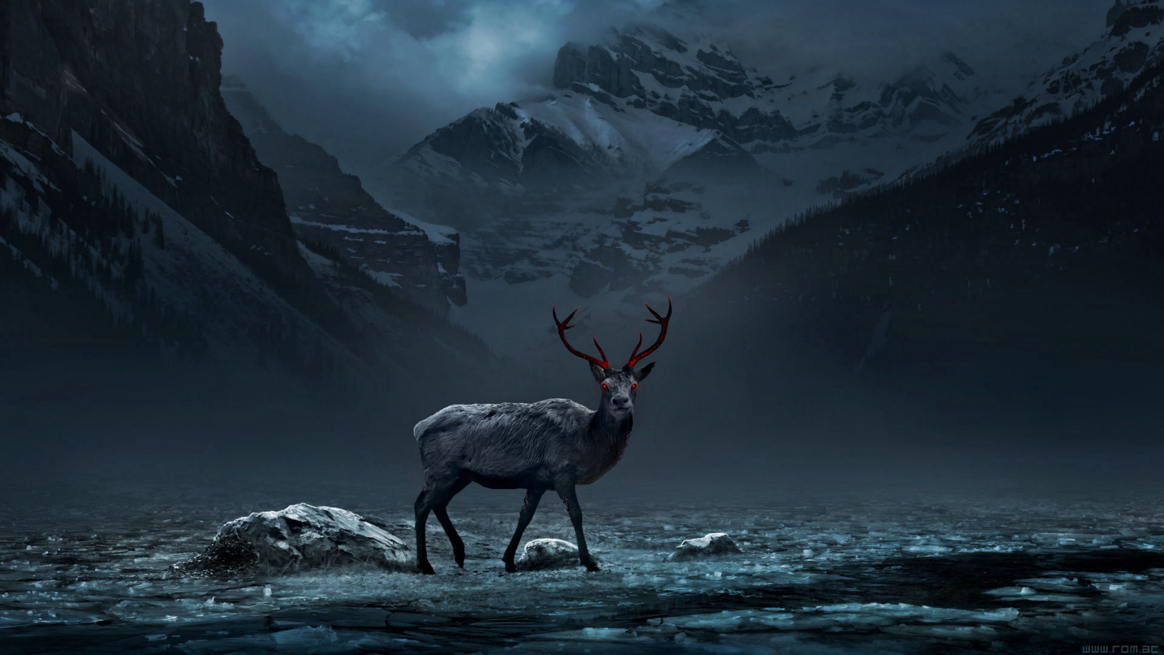 Deer Horns Snow Winter Blur Forest Background 4K HD Deer Wallpapers  HD  Wallpapers  ID 113609