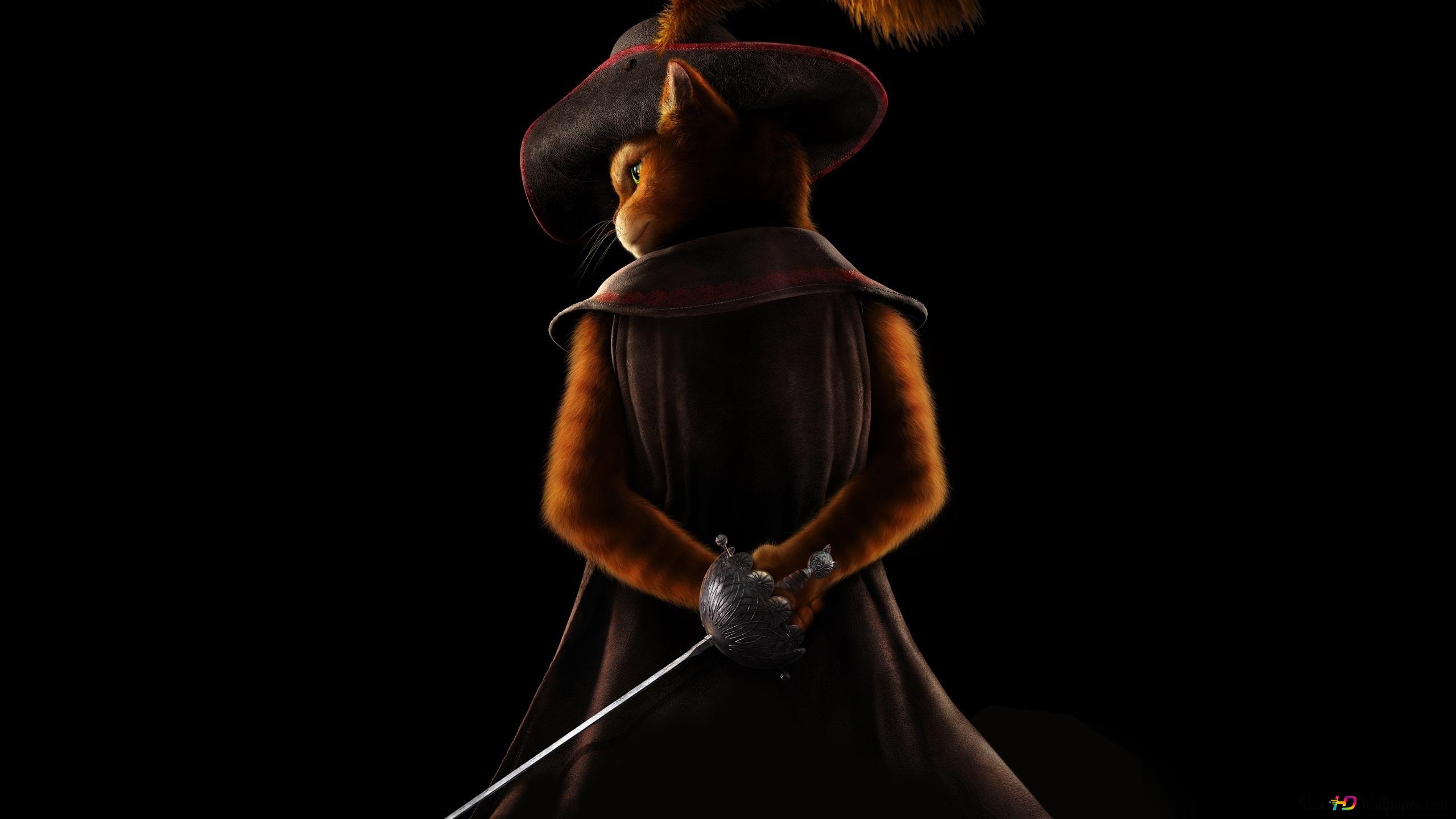 Puss in Boots: A cat in boots with a sword in the animated movie The Last Wish 2K wallpaper download