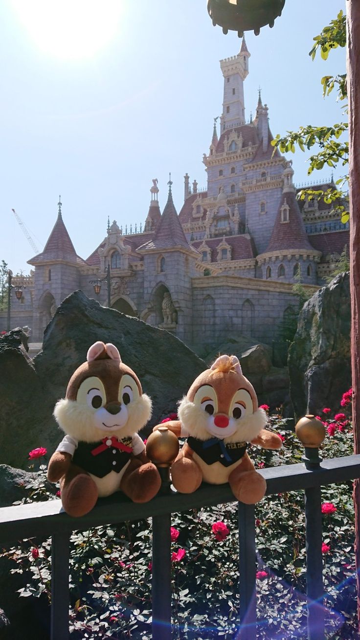 31 Tokyo Disney Land. Disney Wallpaper, Chip And Dale, Disney Fun