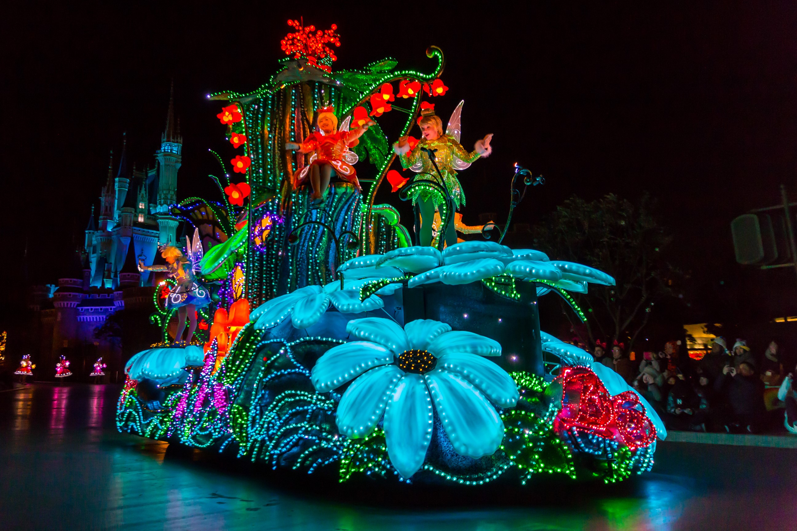 Japan, Tokyo, Disneyland, Parks, Camomiles, Design, Fairy lights Gallery HD Wallpaper