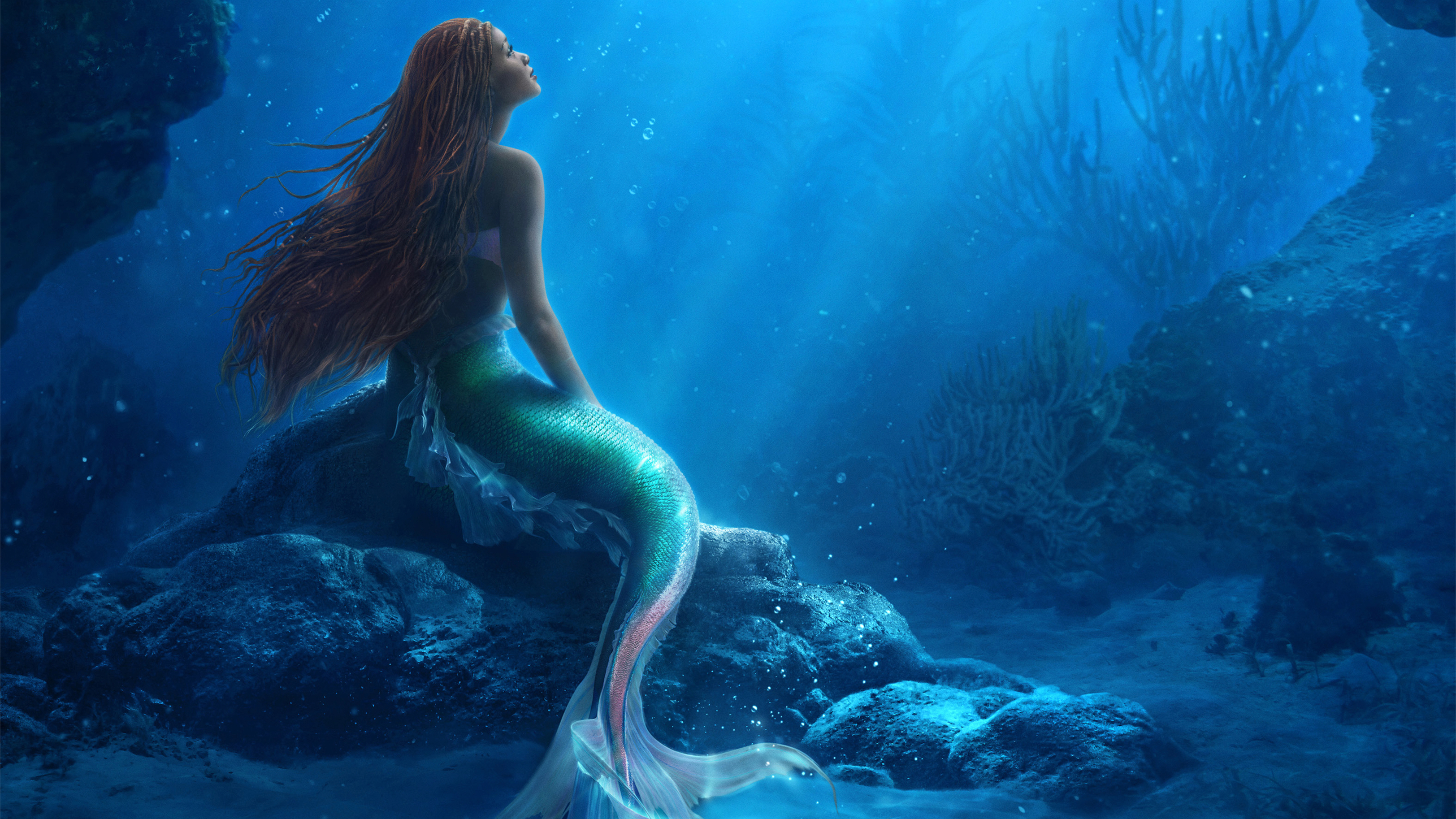 The Little Mermaid HD Wallpaper and Background