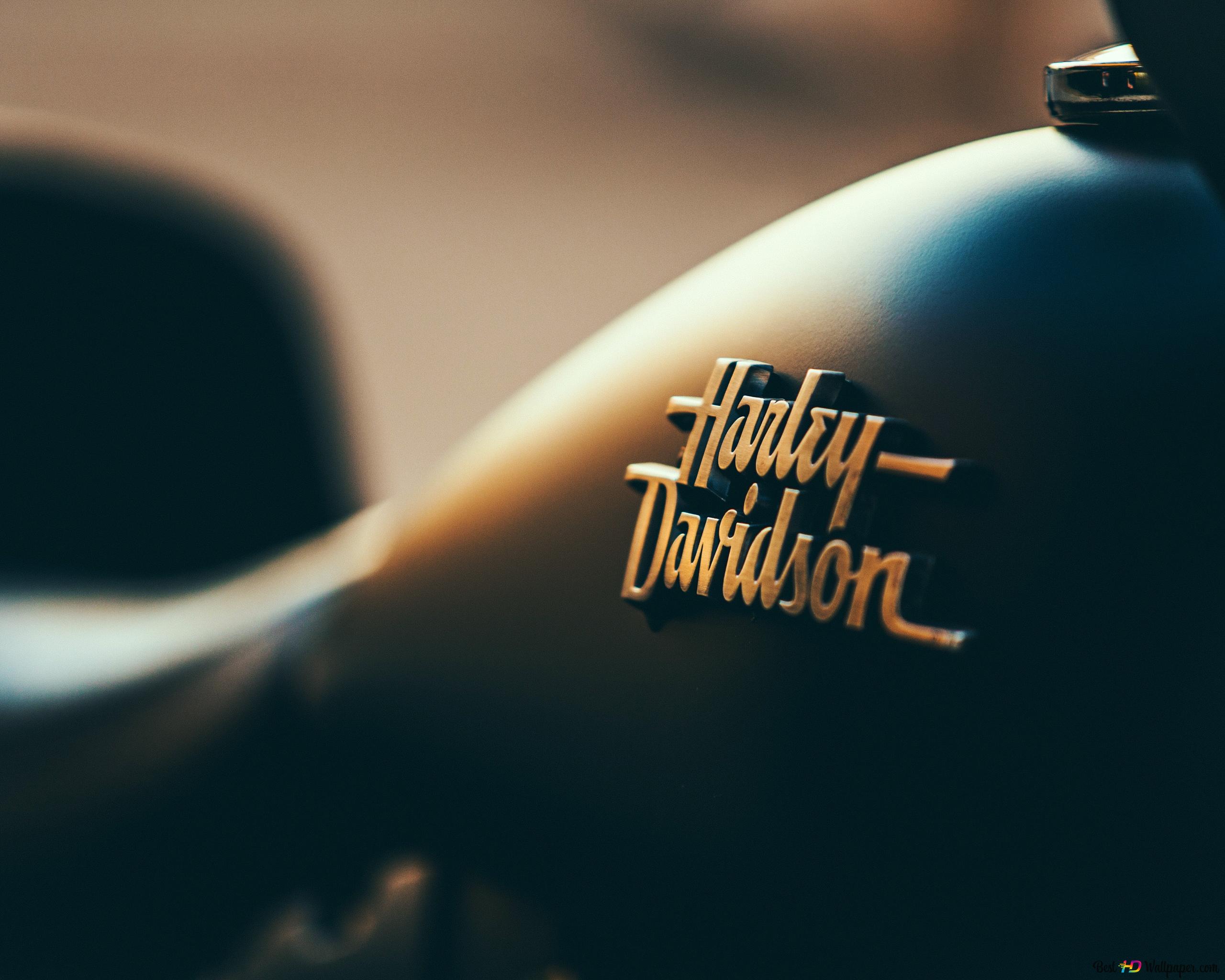 Dream bike harly davidson 4K wallpaper download
