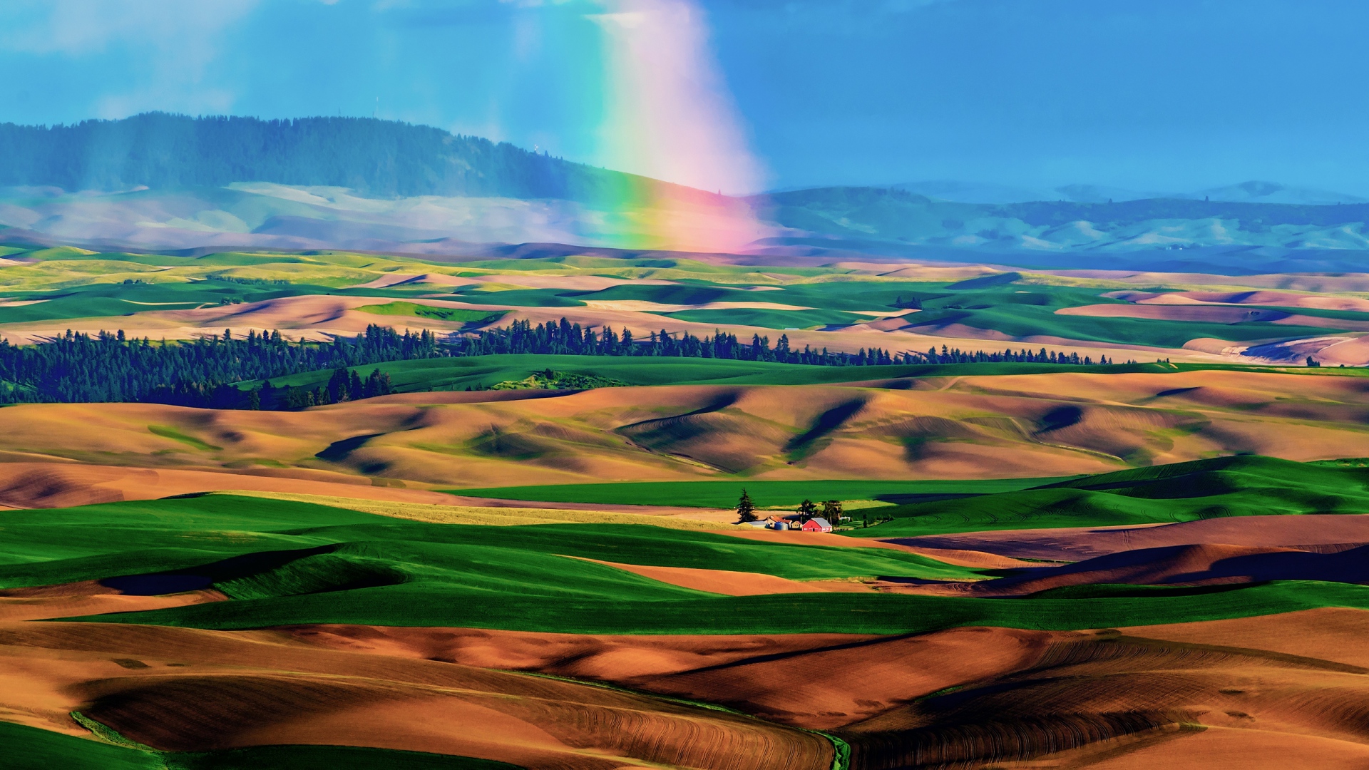 Wallpaper fields, rainbow, hills, sand, desert, oasis