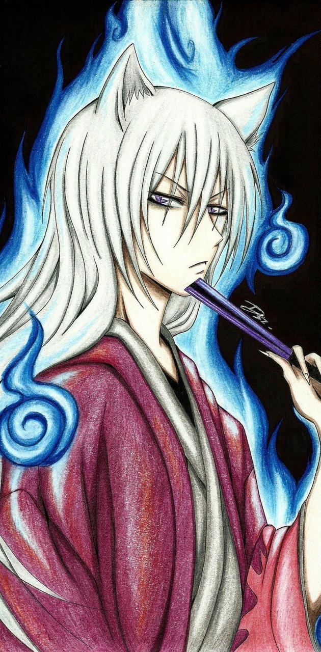Kamisama Kiss wallpaper
