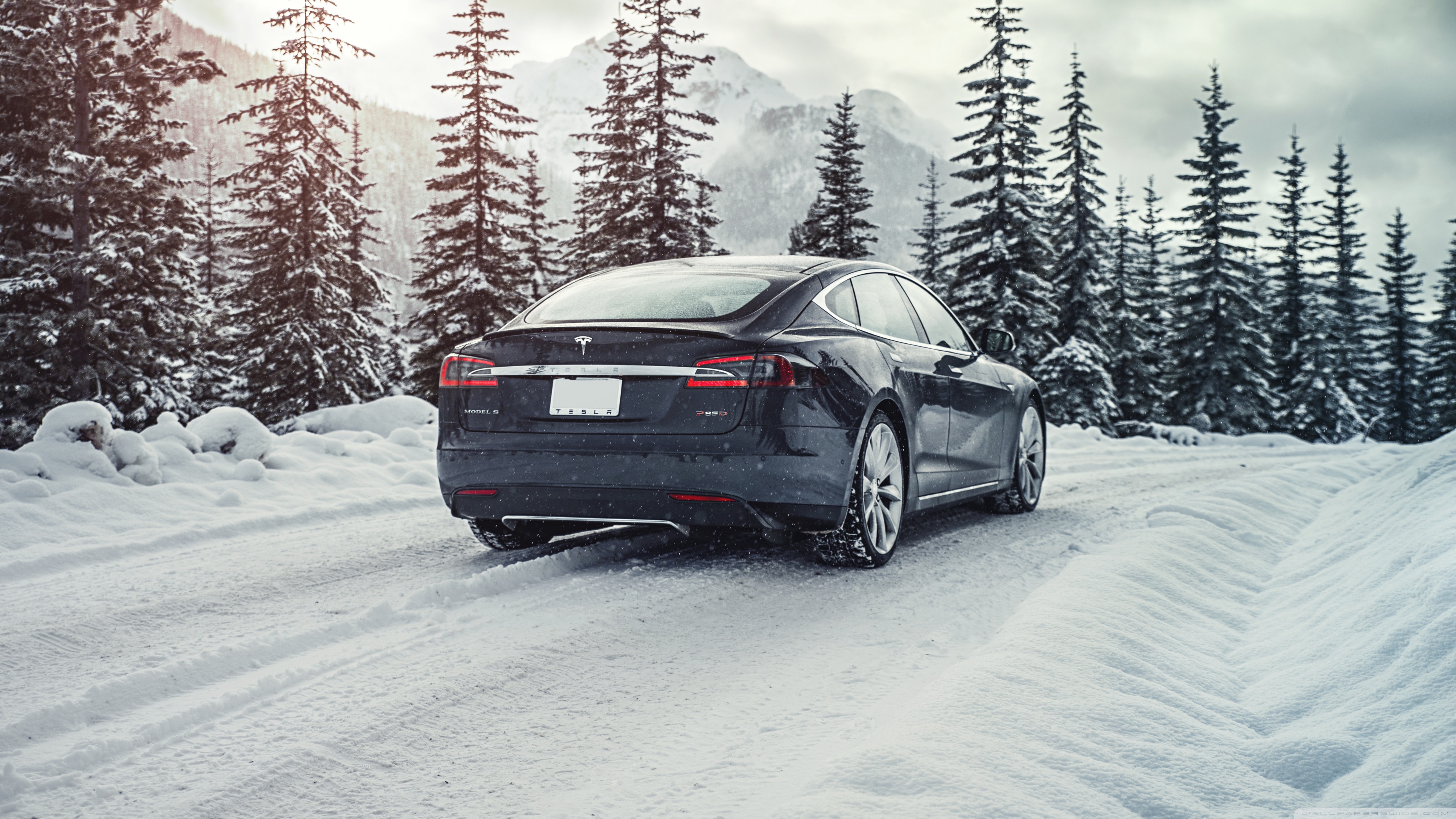 Tesla Snow Wallpaper