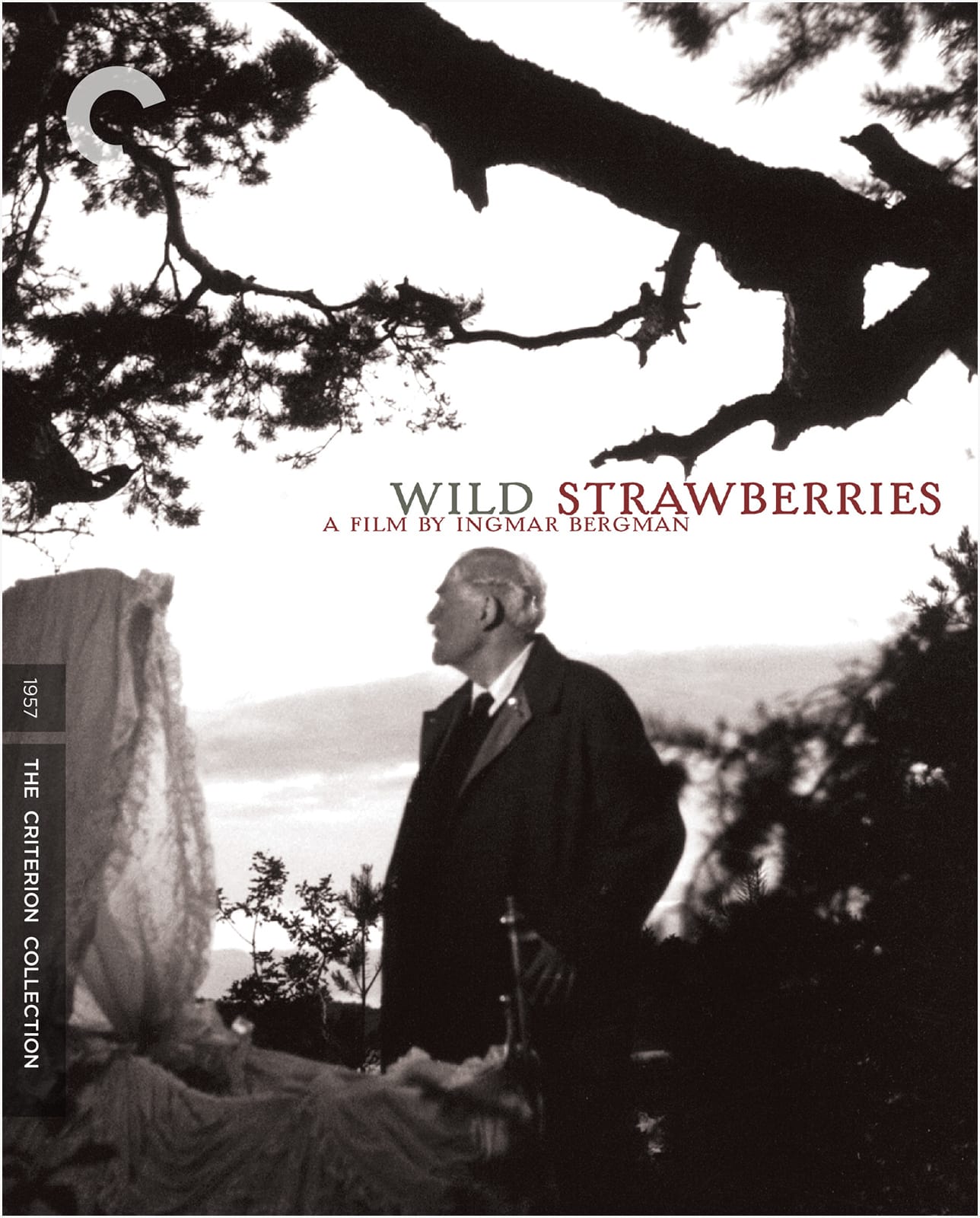 Wild Strawberries. The Criterion Collection