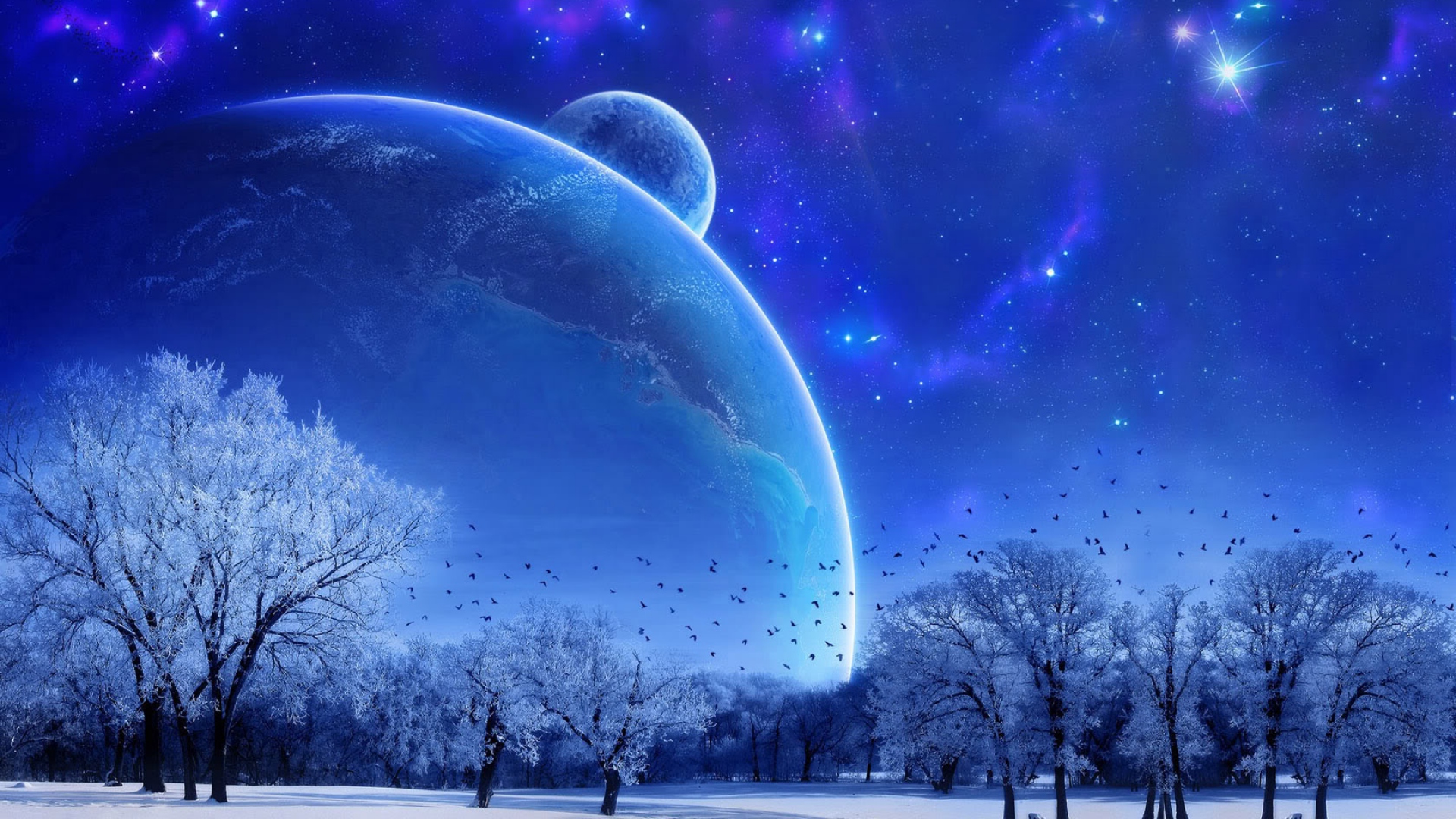 Download Wallpaper 1920x1080 nature, landscape, winter, sky, snow, full moon, trees, birds, evening Full HD 1080p HD Background