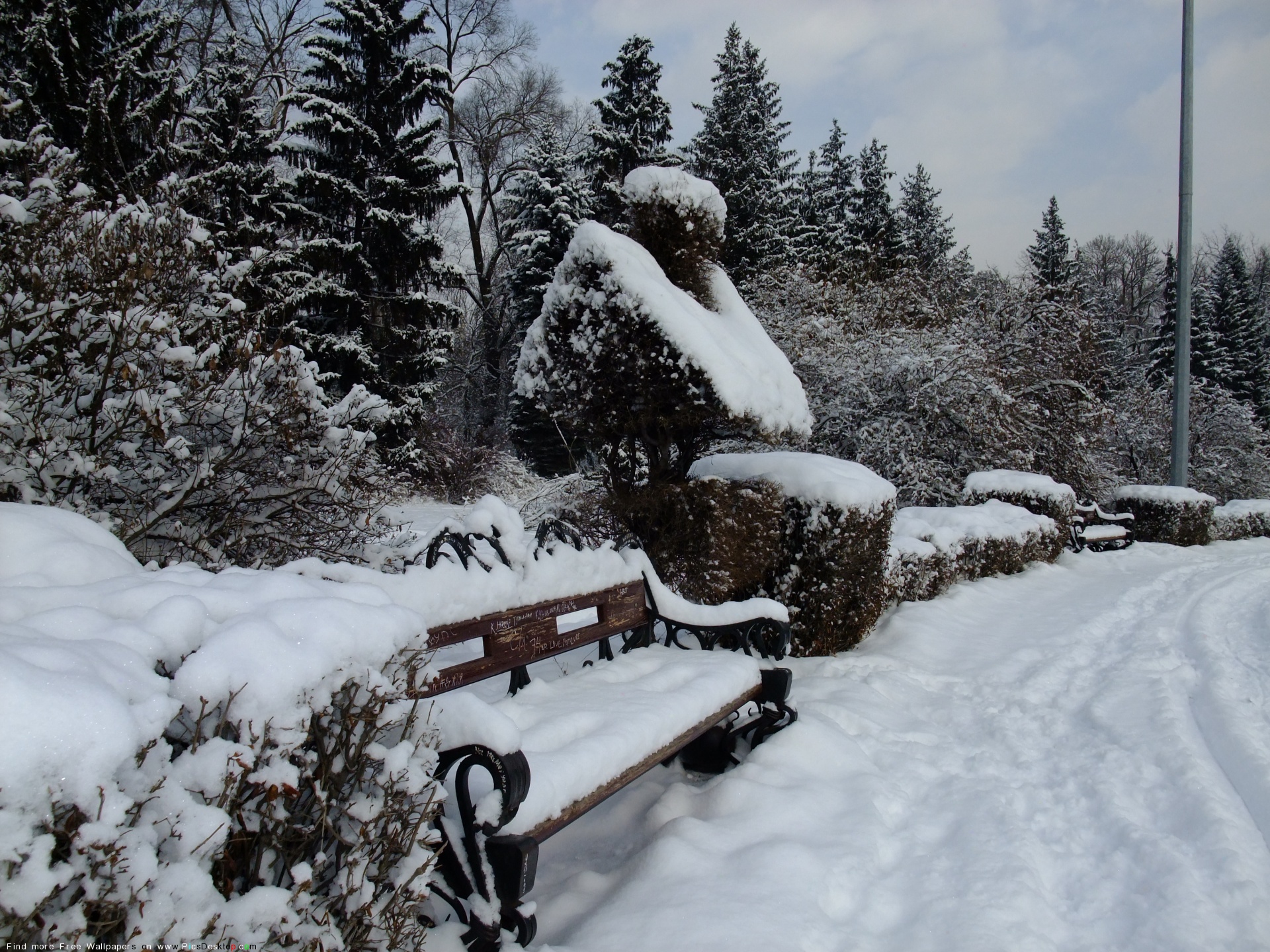 Nature Free Desktop Wallpaper for PC & Mac