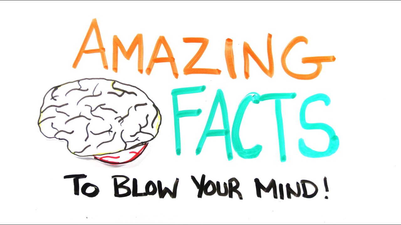Amazing Facts to Blow Your Mind Pt. 2