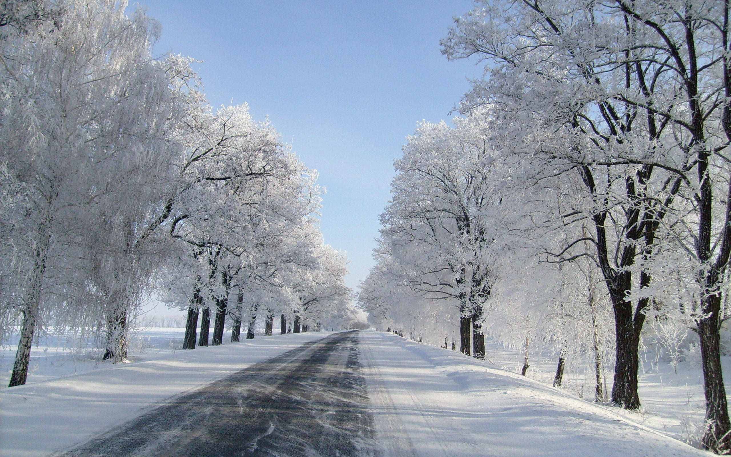 Aesthetic Nature Road Winter Wallpapers - Wallpaper Cave