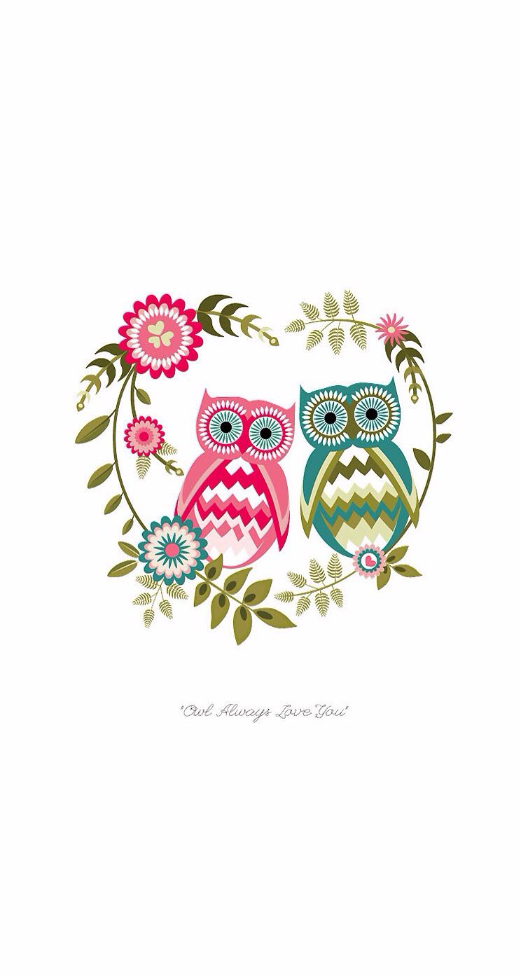 Valentine Owl Wallpapers - Wallpaper Cave