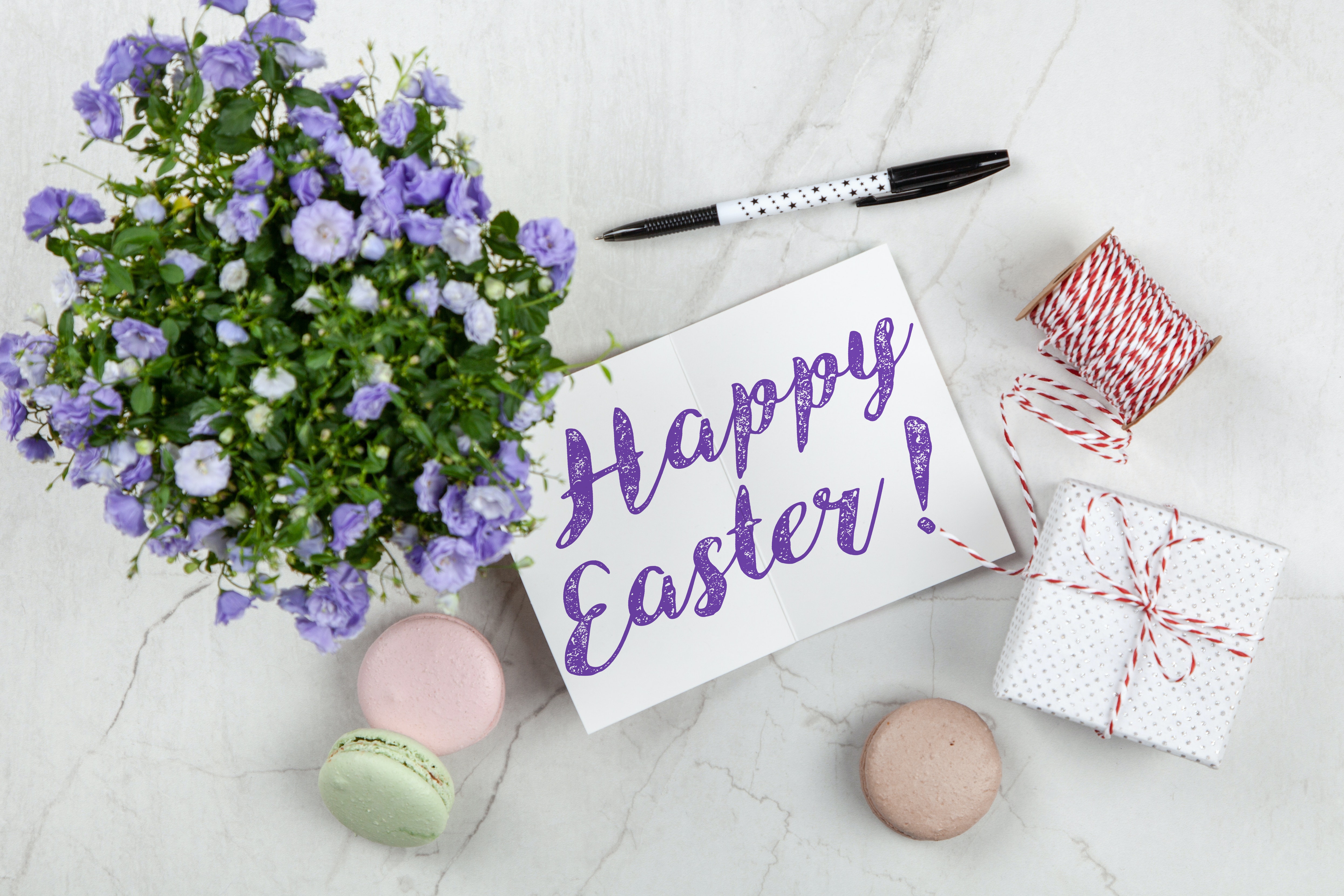 Easter Background Photo, Download Free Easter Background & HD Image