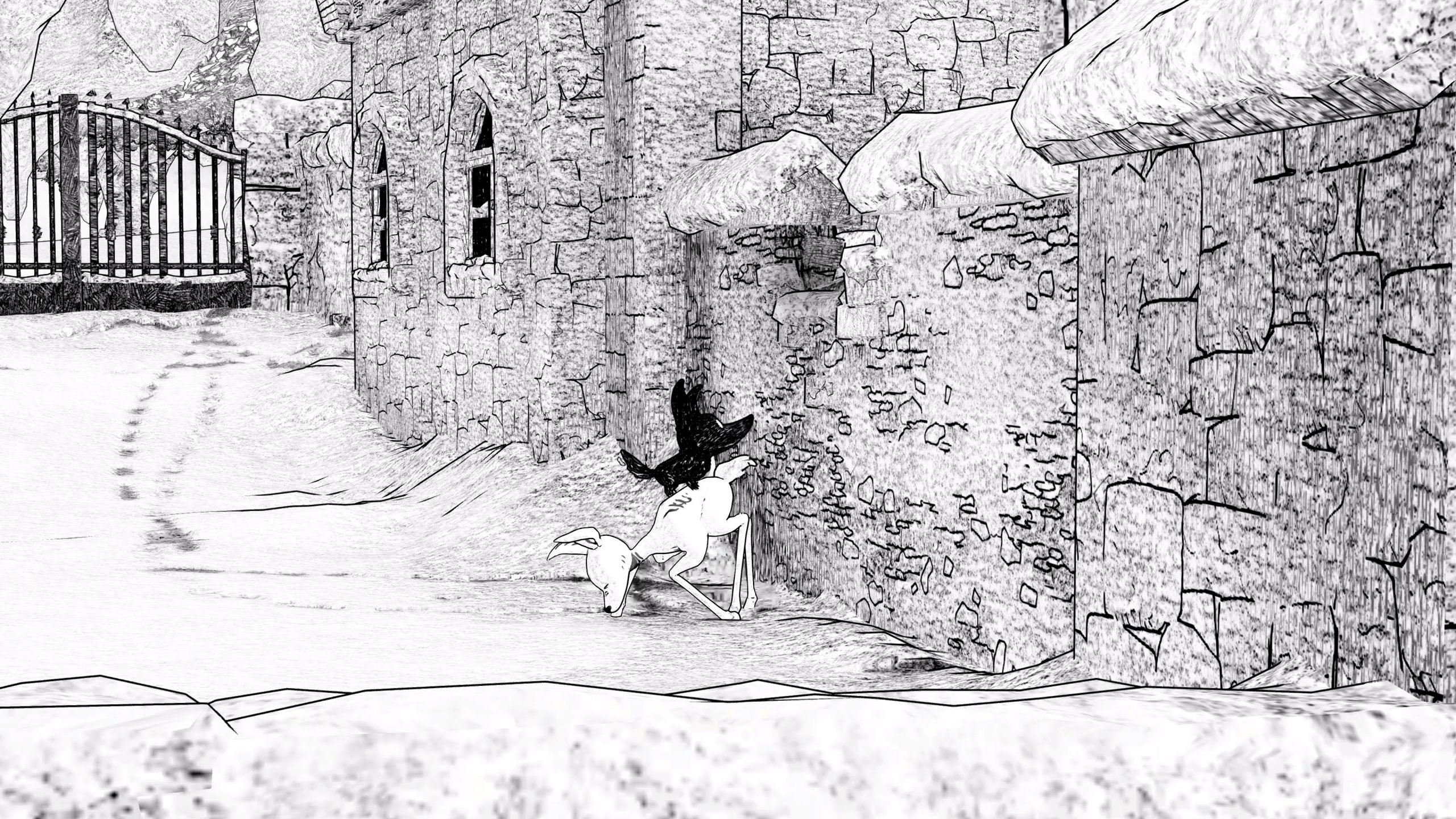 Blanc HD Wallpaper and Background