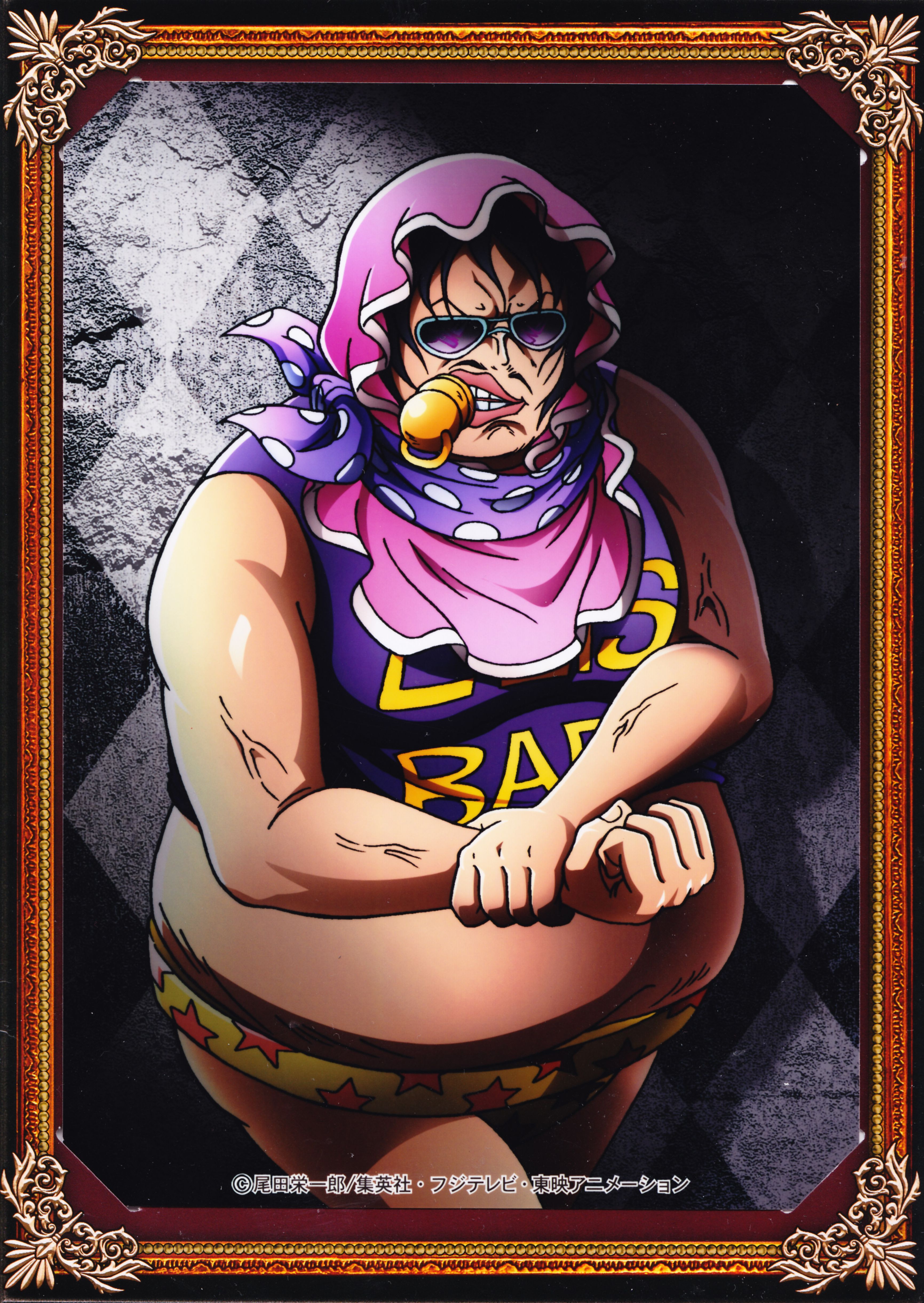 Senor Pink and Scan Gallery