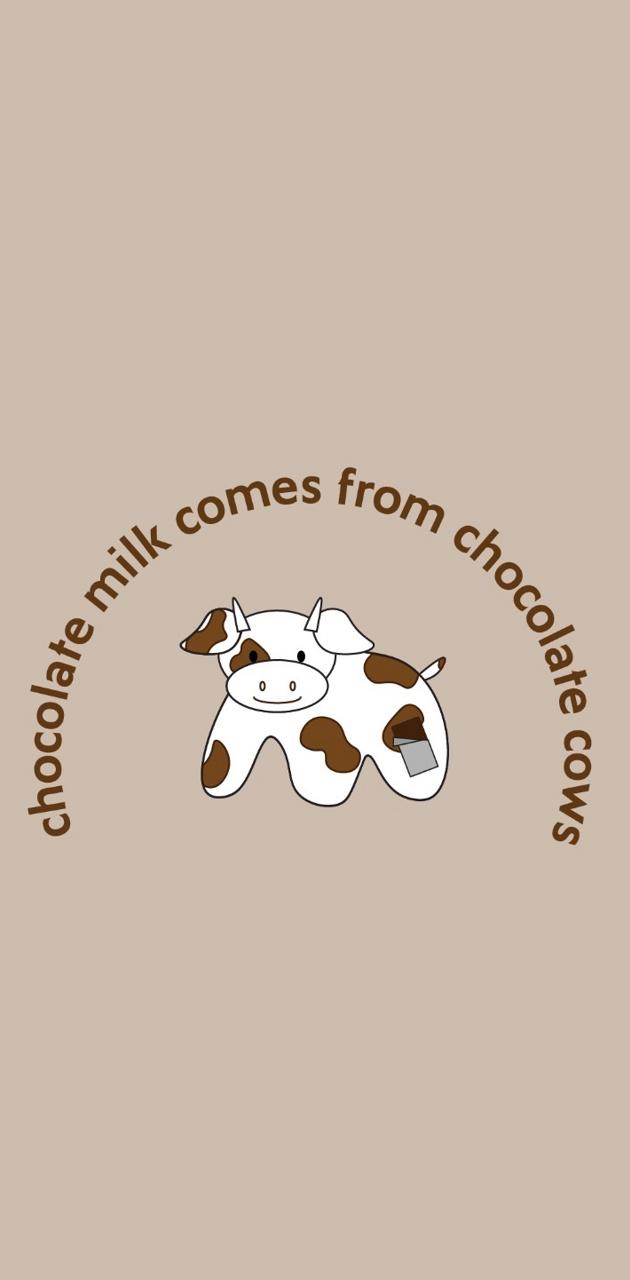 Chocolate cow wallpaper