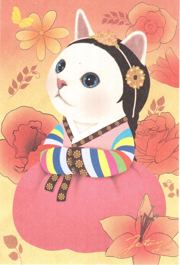 Korean Cats Wallpapers Wallpaper Cave