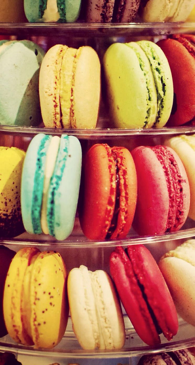 Fancy Donut. マカロン