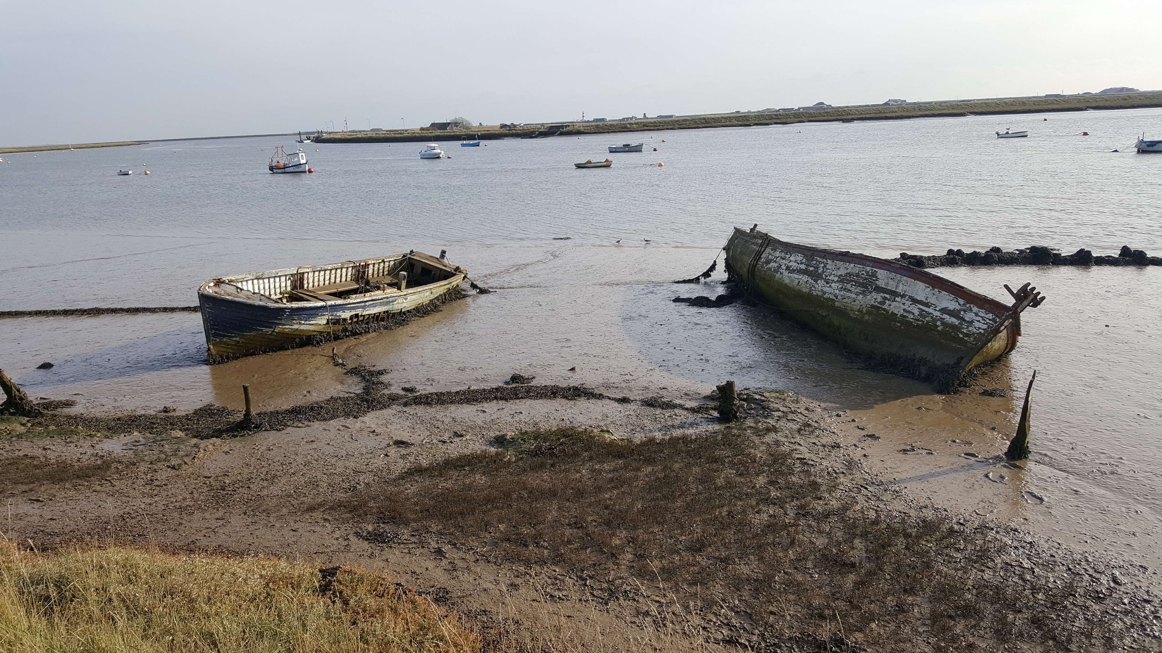 boats, estuary, fishing boat, mud, mud flat, old boat