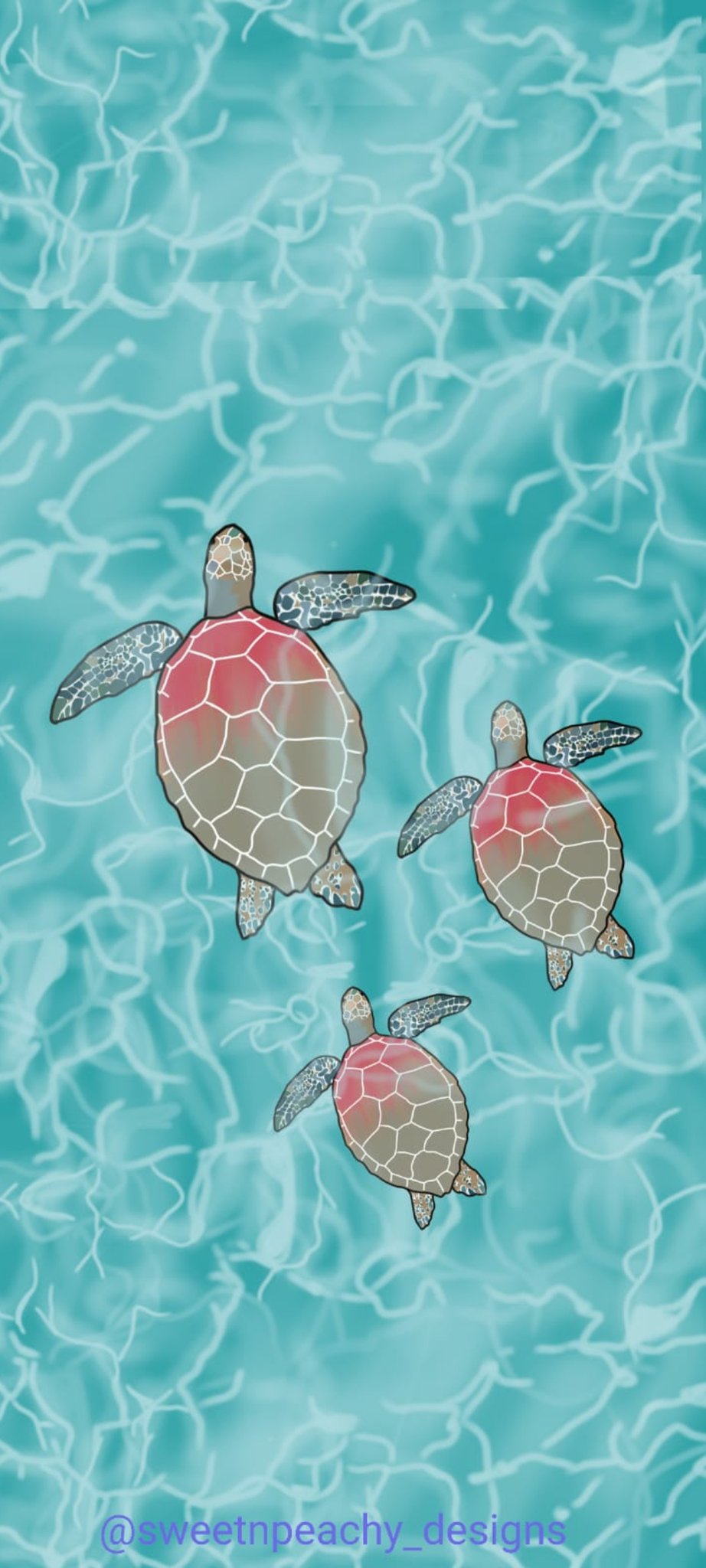 cute sea turtle wallpaper