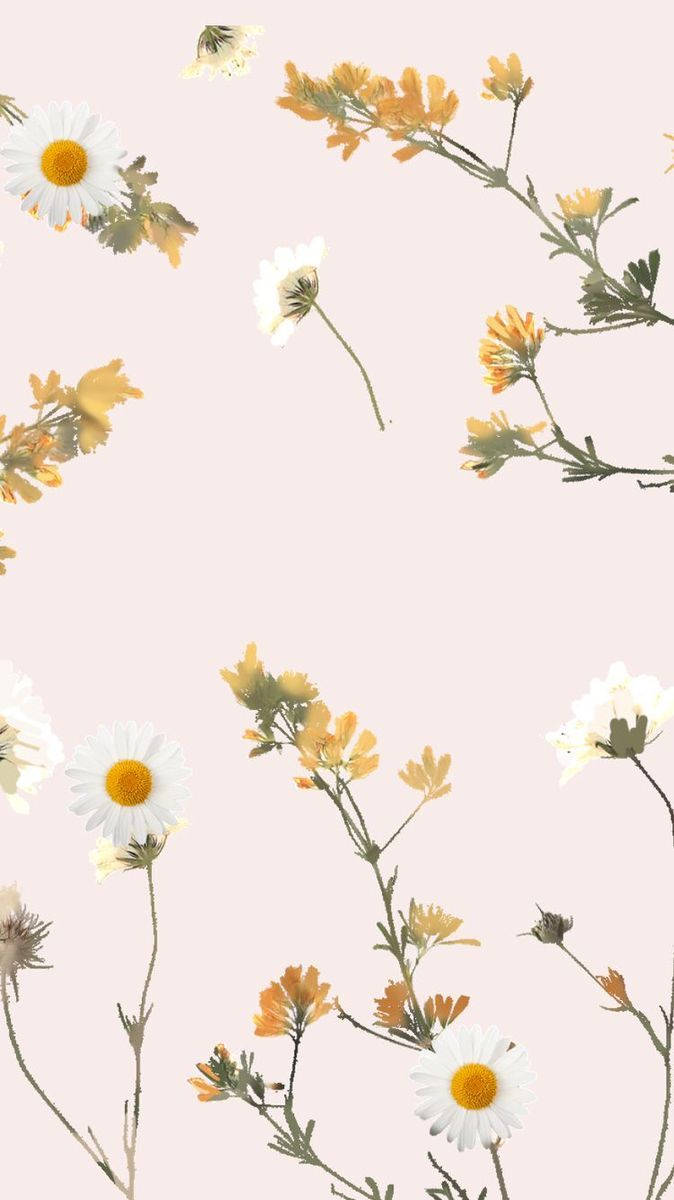 Download Tiny White Yellow Flowers Aesthetic Wallpaper