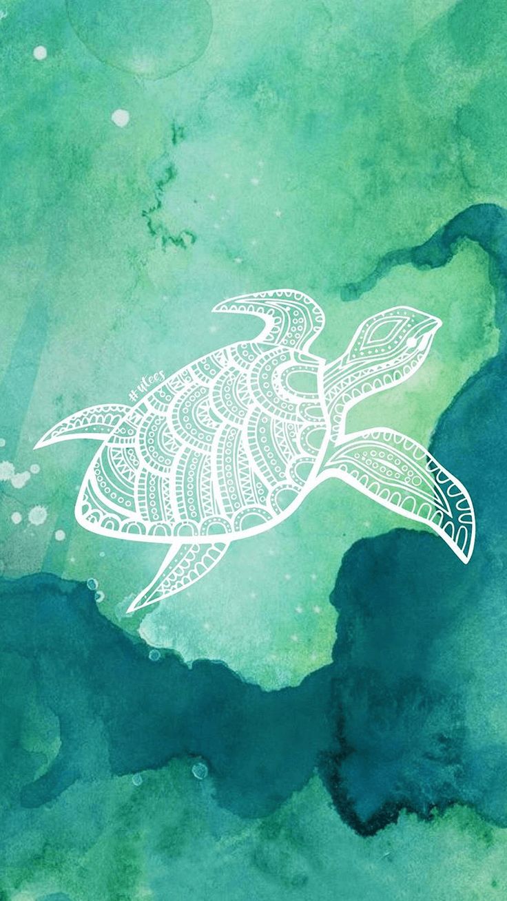 Cute Wallpaper iPhone 6 Turtle. Arte de tortugas marinas, Fondos de pantalla amor, Fondos de pantalla tiernos