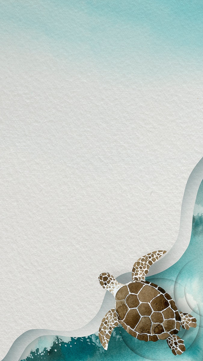 Sea Turtle Image. Free HD Background, PNGs, Vectors & Illustrations