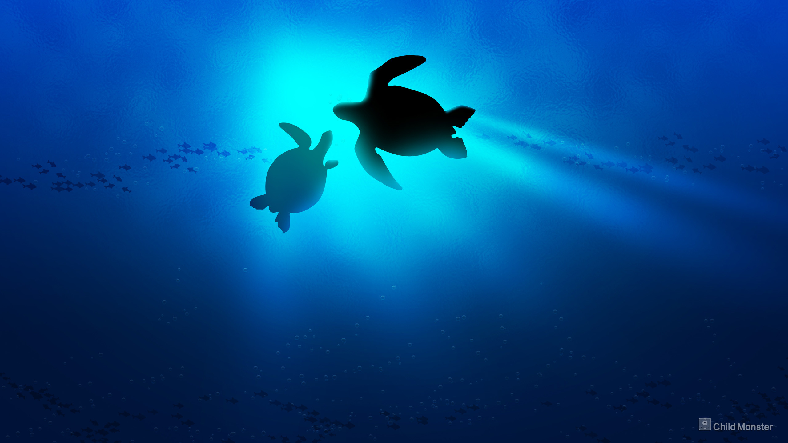 Baby Sea Turtle Wallpaper Desktop Background