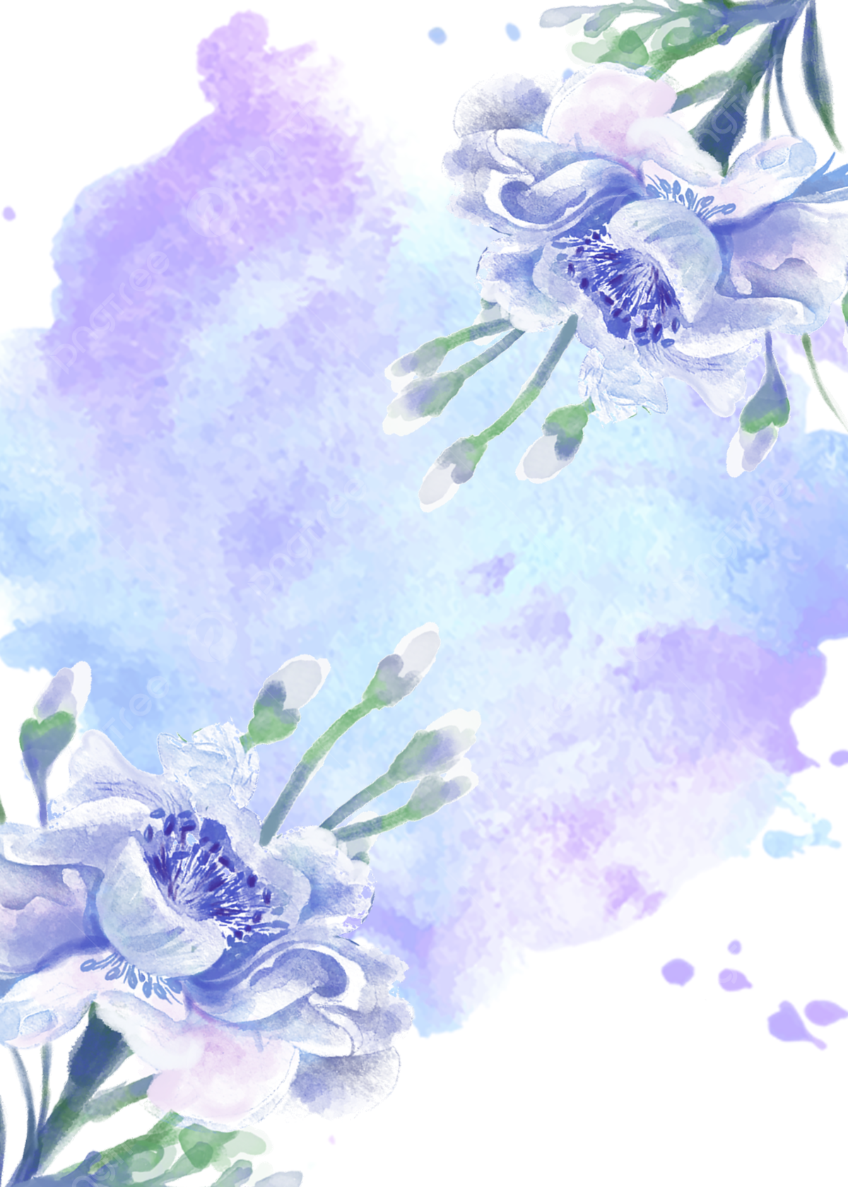 Purple Floral Watercolor Background, Simple, Purple, Flowers Background Image for Free Download